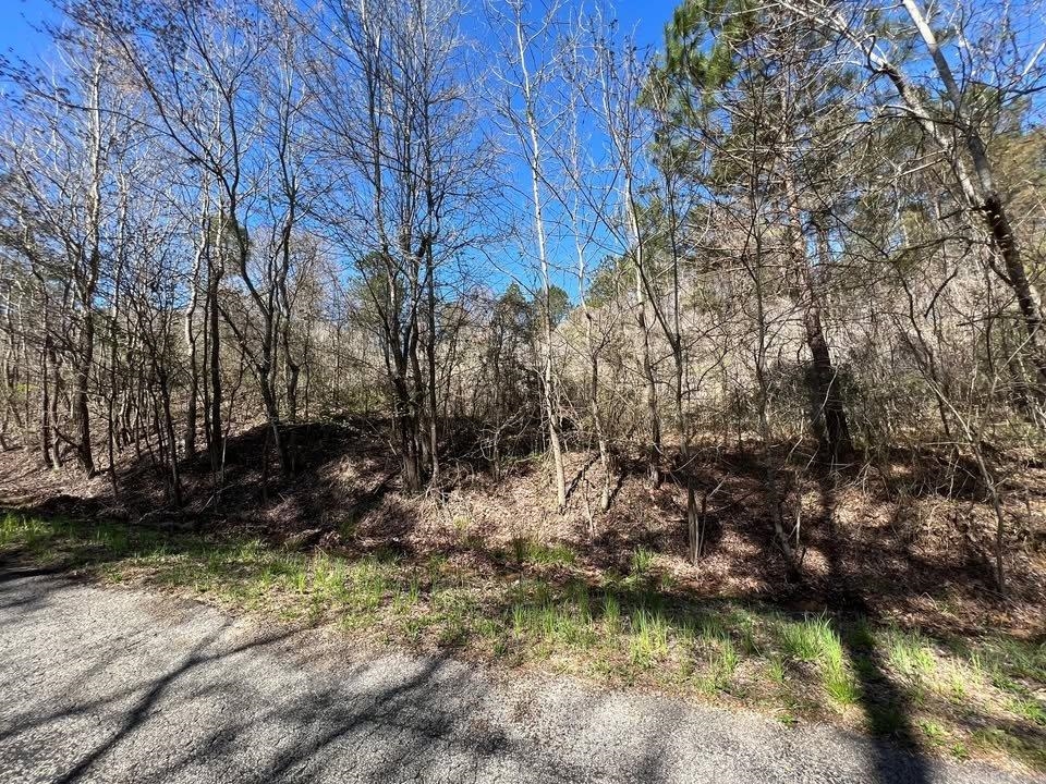 7 King Road Medon, TN 38356 - Photo 7 of 9