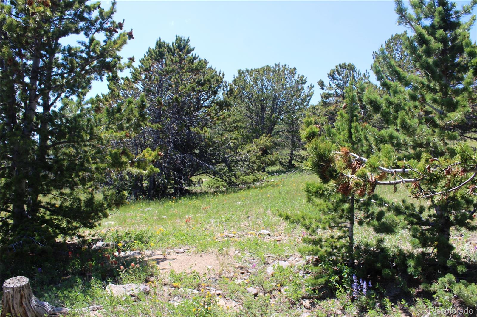 1595 Missouri Gulch Road Black Hawk, CO 80422 - Photo 28 of 49