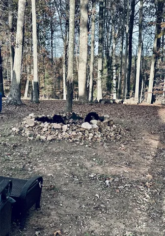 a backyard of a house with lots of green space