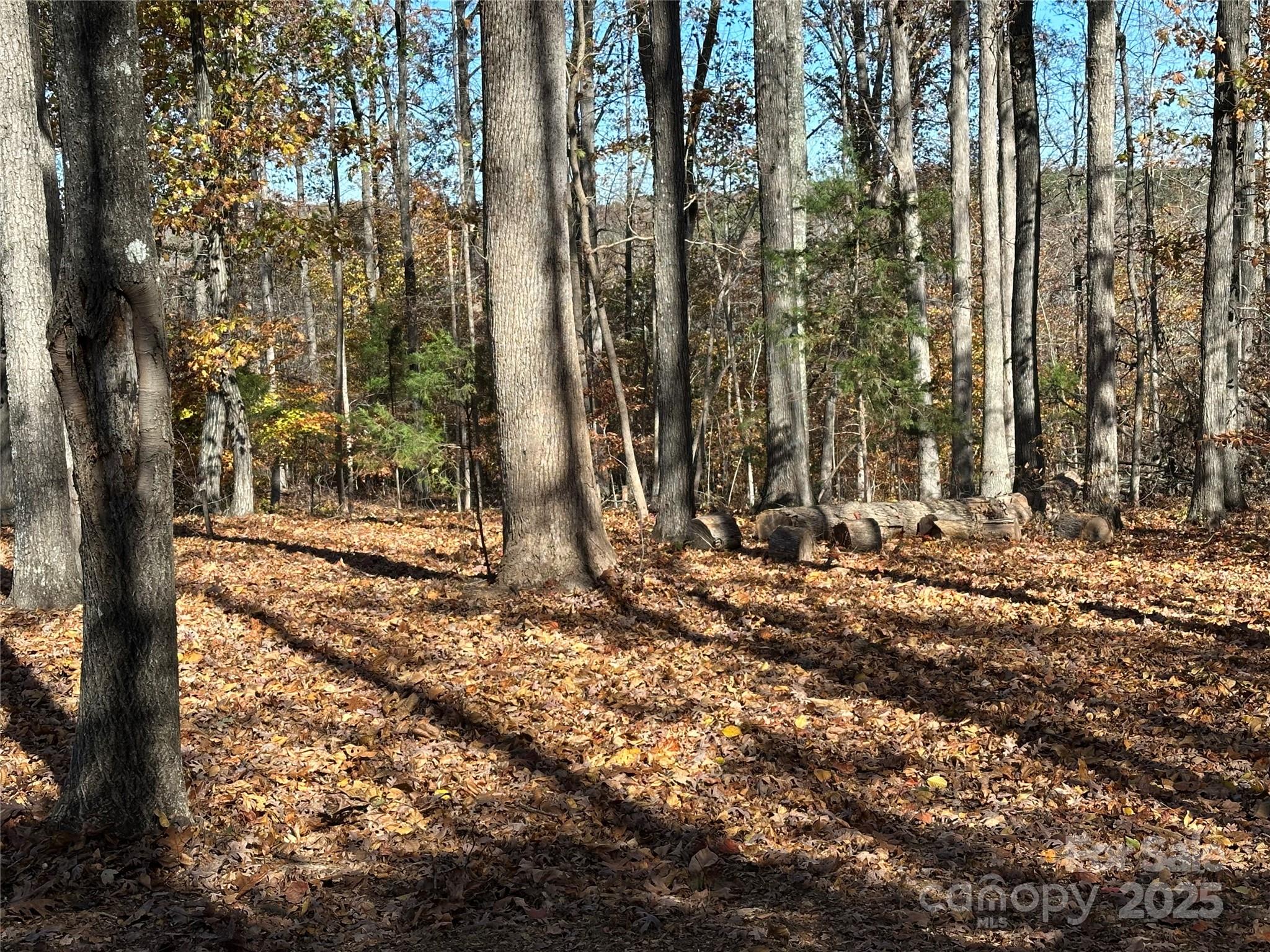 2944 Ranger Road Clover, SC 29710 - Photo 22 of 23 a view of outdoor space with lots of trees