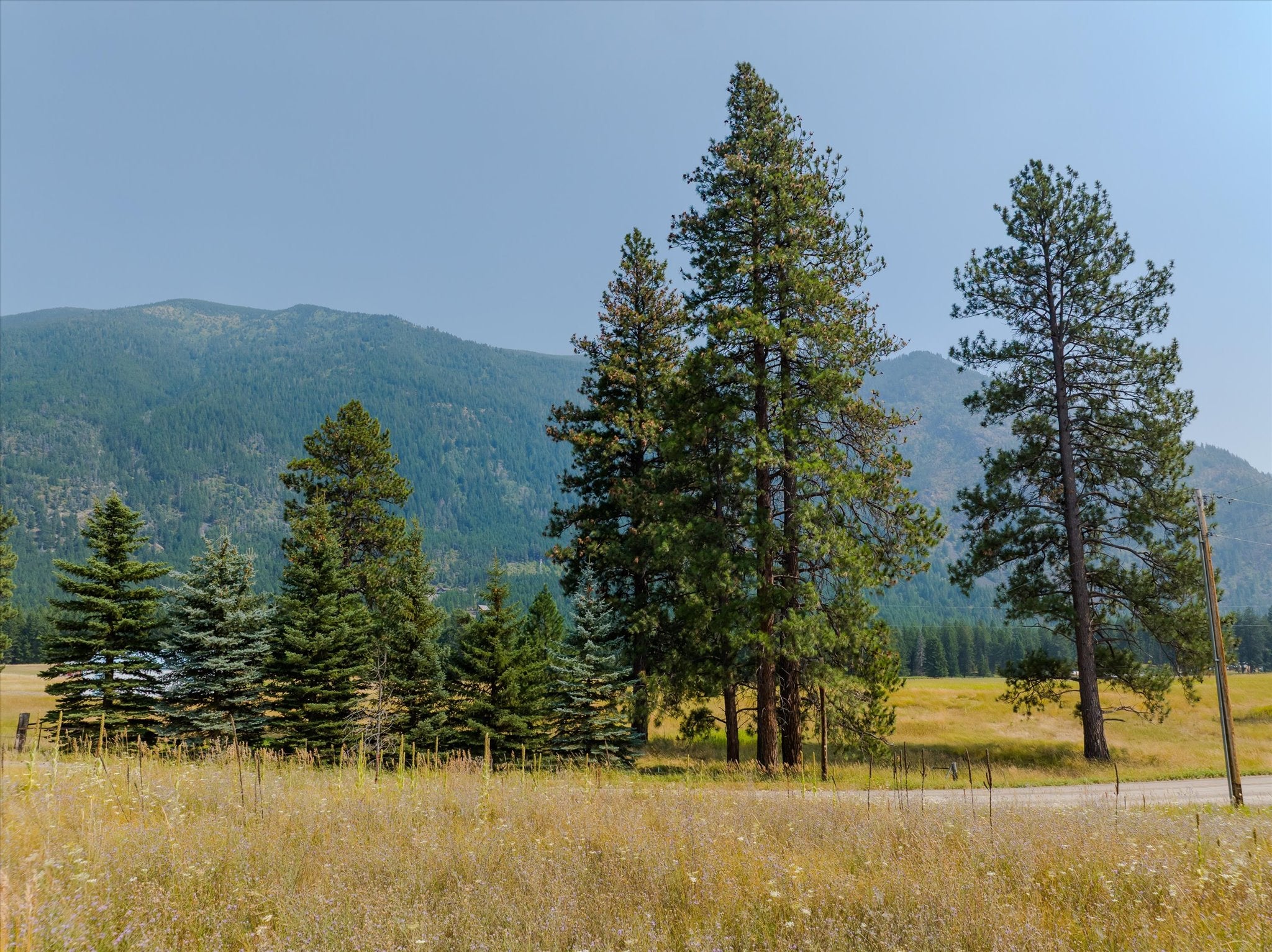 600 Jensen Road Columbia Falls, MT 59912 - Photo 76 of 88 Gallery Image 76