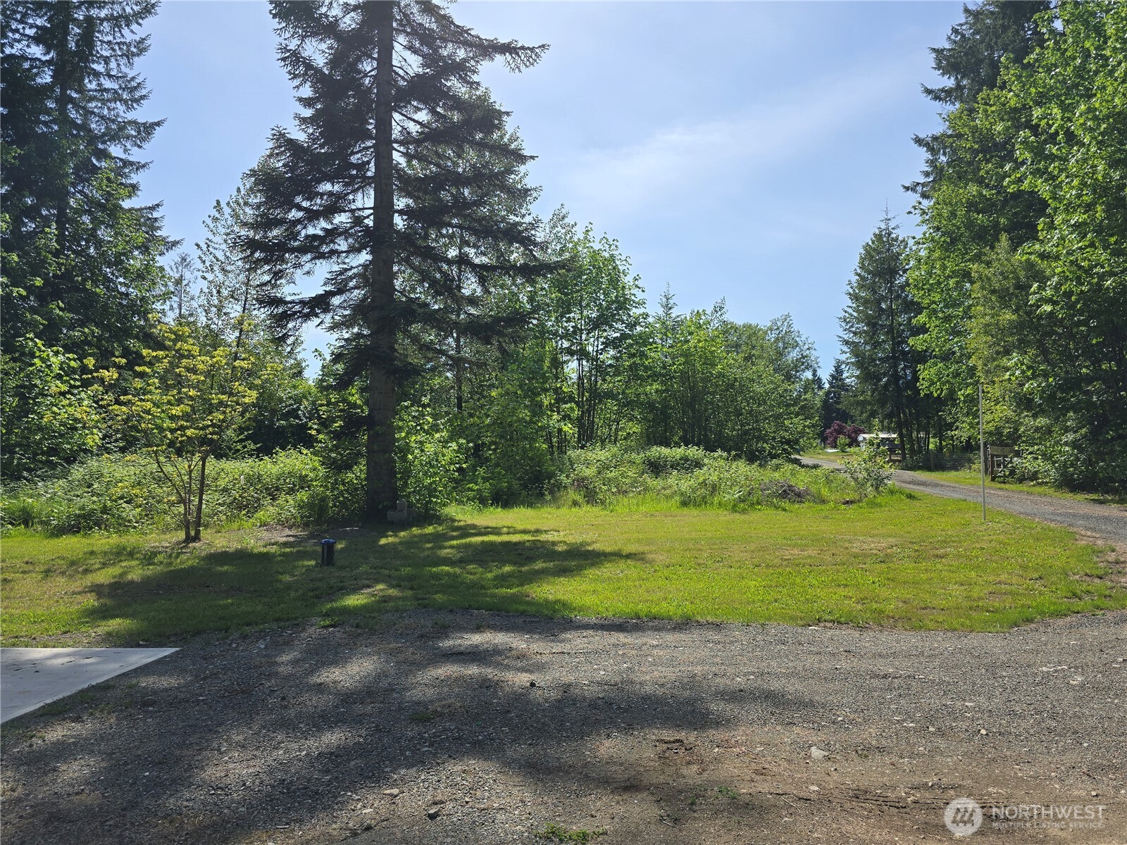 147-21 Morris Road, Unit 21 Randle, WA 98377 - Photo 9 of 31 a big yard with trees