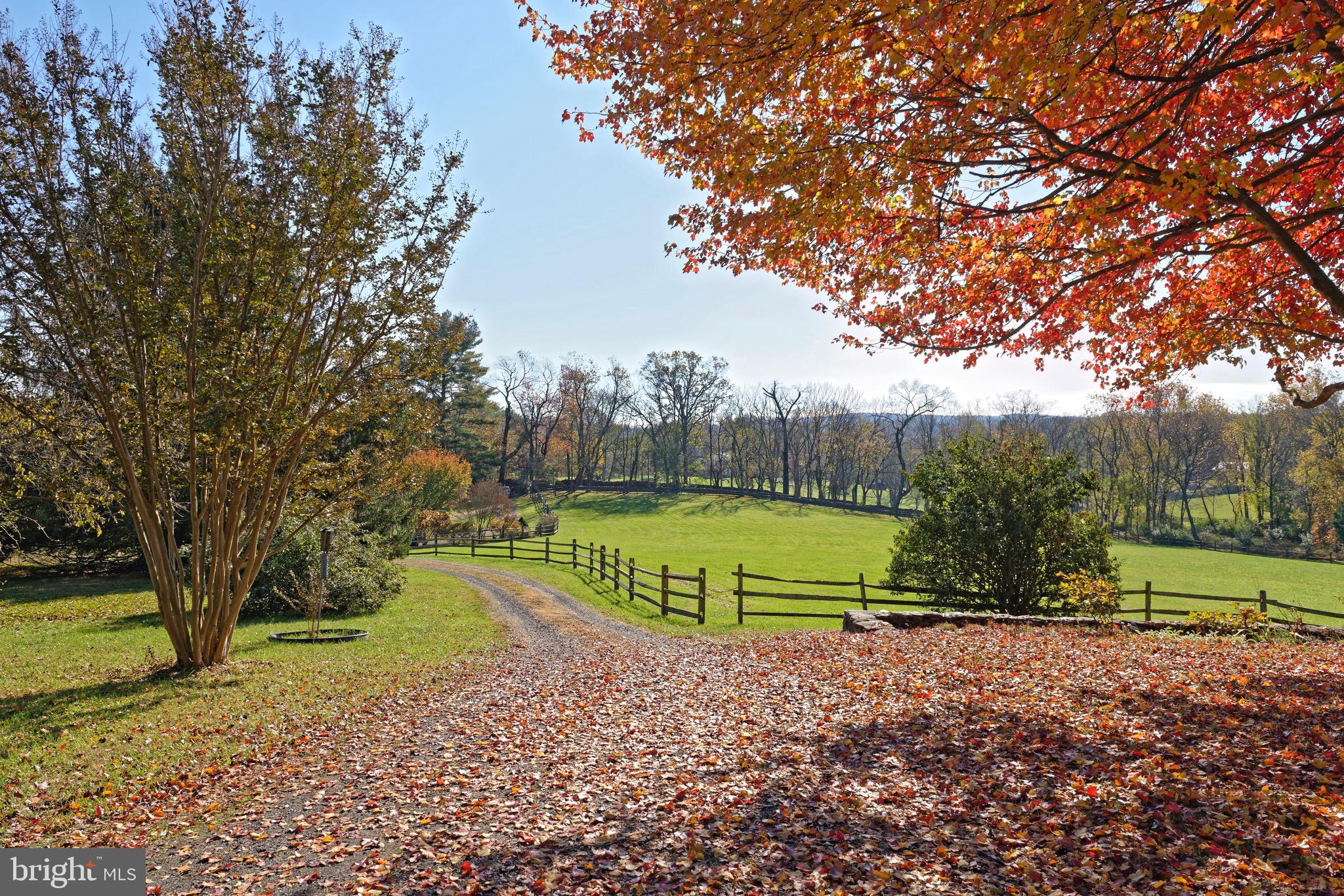 23459 Sally Mill Road Middleburg, VA 20117 - Photo 40 of 61 View from the front porch towards Sally Mill Road