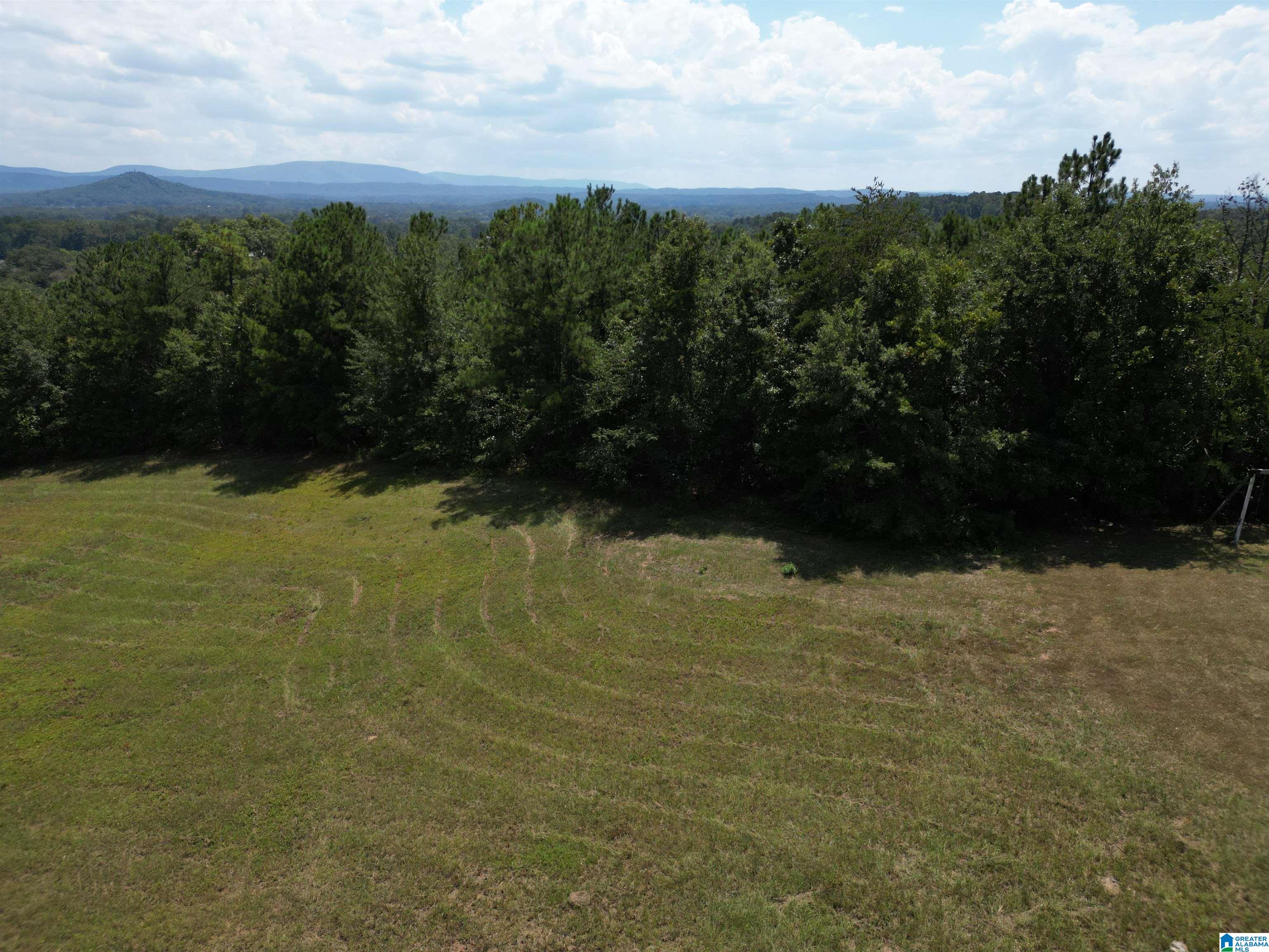 142 Mountain Ridge Road Oxford, AL 36203 - Photo 58 of 63