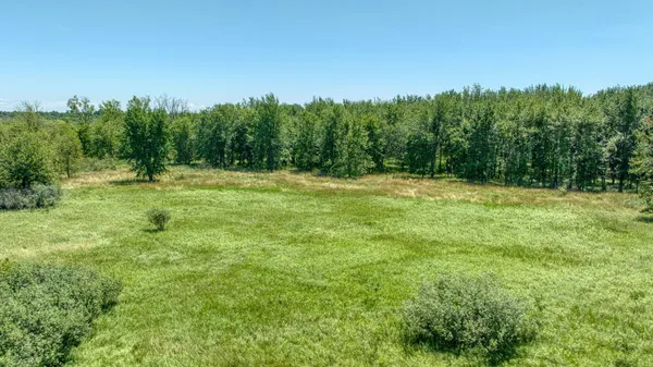 $65,000 | 11.94 Acres Vacant Road, Brooklyn, MI 49230