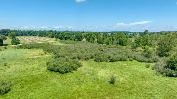 $65,000 | 11.94 Acres Vacant Road, Brooklyn, MI 49230