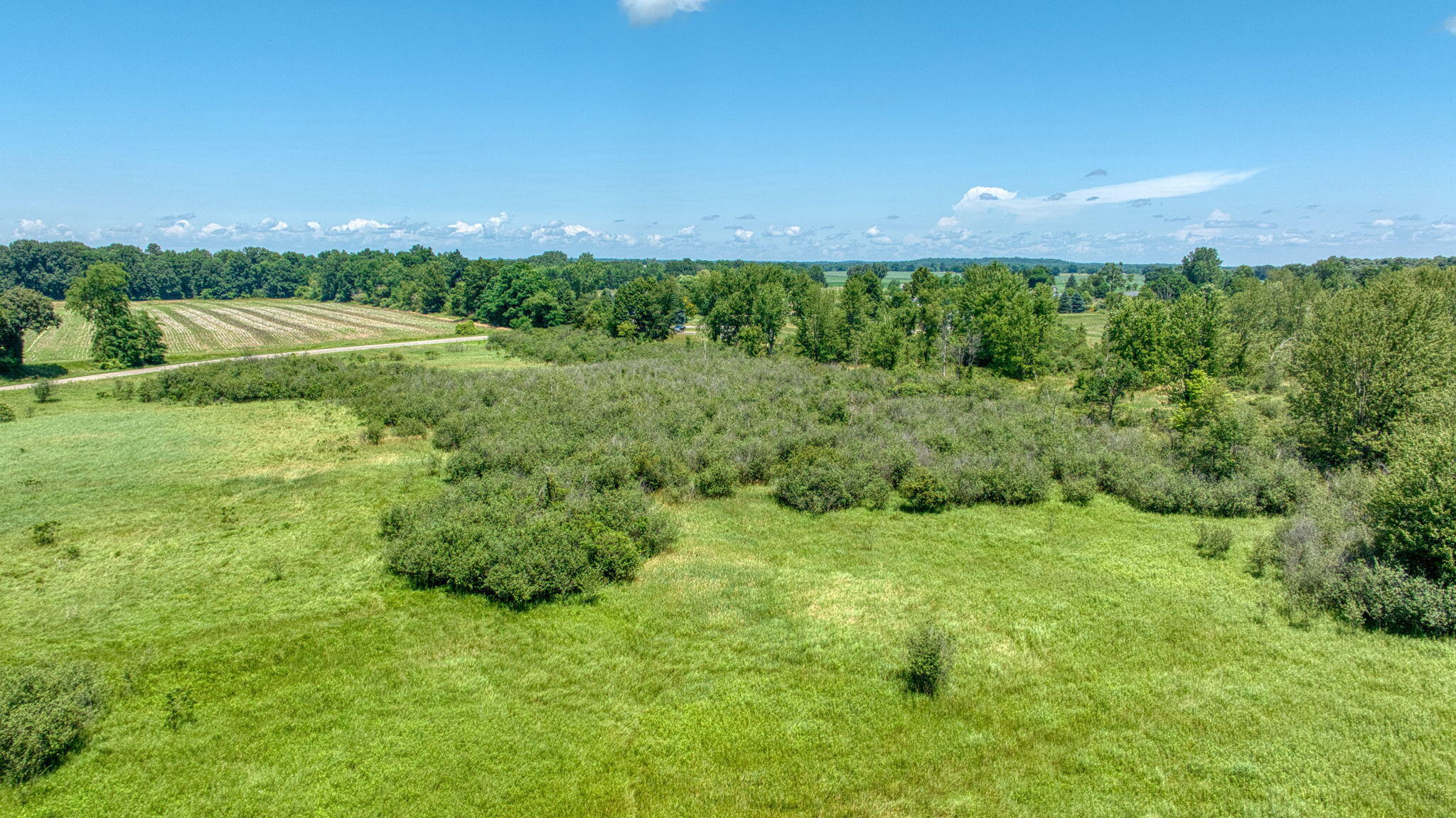 11.94 Acres Vacant Road Brooklyn, MI 49230 - Photo 5 of 14 49-web-or-mls-DJI_0111_HDR