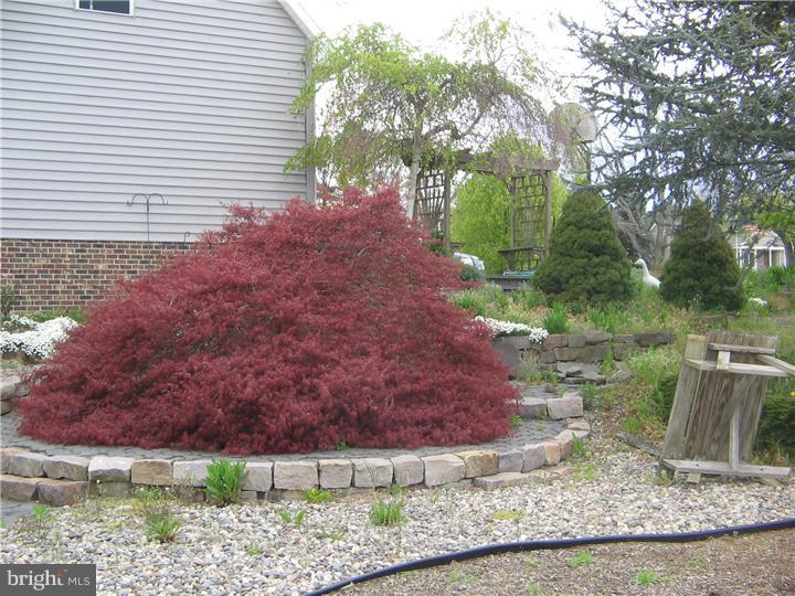 254 Stewart Road Allentown, NJ 08501 - Photo 21 of 24 Exterior Back