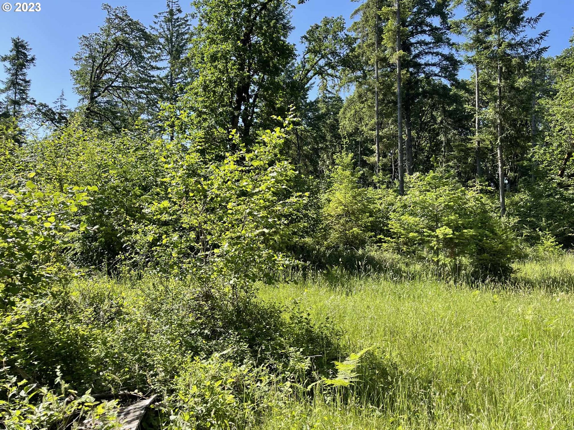 Richardson Gap Road, Unit TL708 Lebanon, OR 97355 - Photo 1 of 40 Gallery Image 1