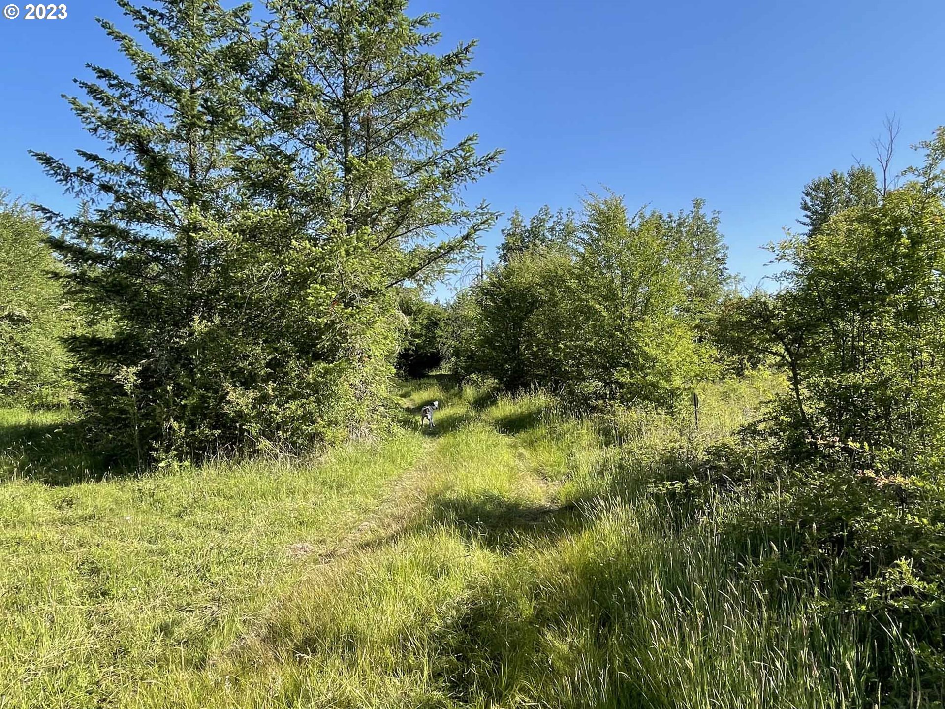 Richardson Gap Road, Unit TL708 Lebanon, OR 97355 - Photo 11 of 40 Gallery Image 11