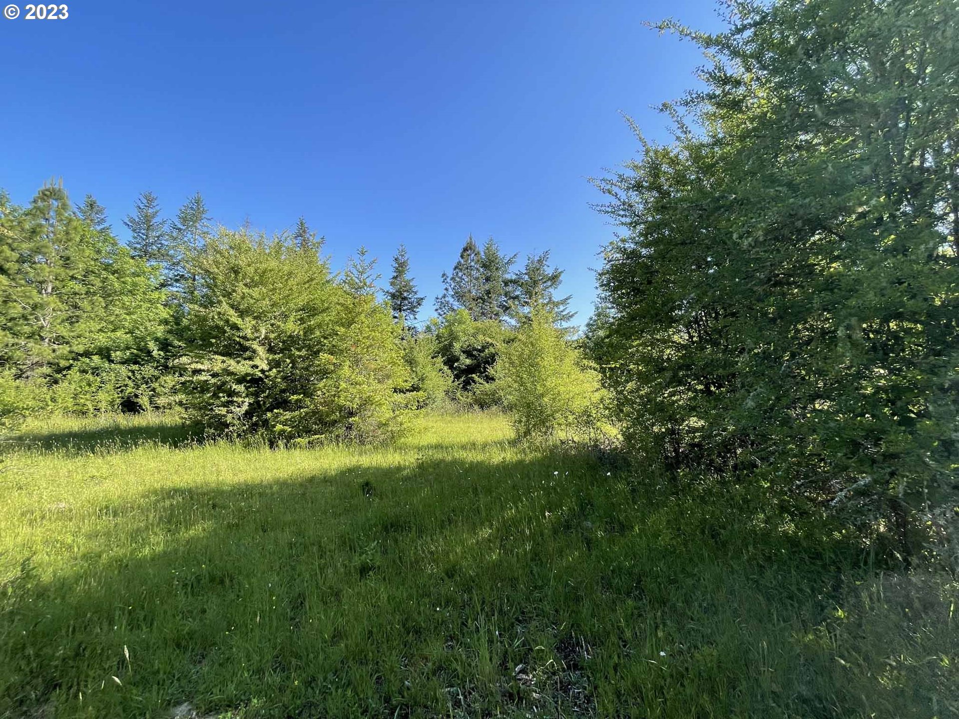 Richardson Gap Road, Unit TL708 Lebanon, OR 97355 - Photo 13 of 40 Gallery Image 13