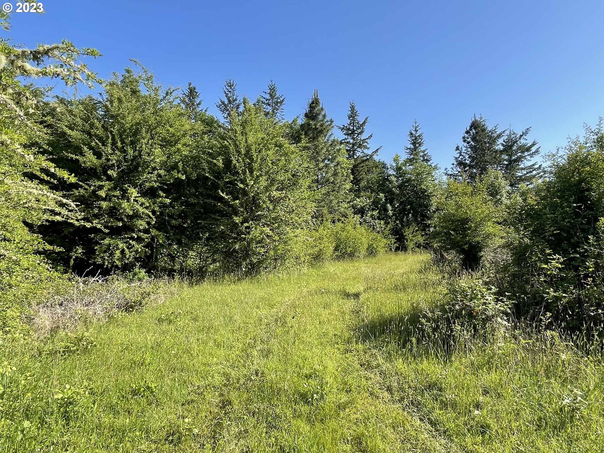 Richardson Gap Road, Unit TL708 Lebanon, OR 97355 - Photo 16 of 40 Gallery Image 16