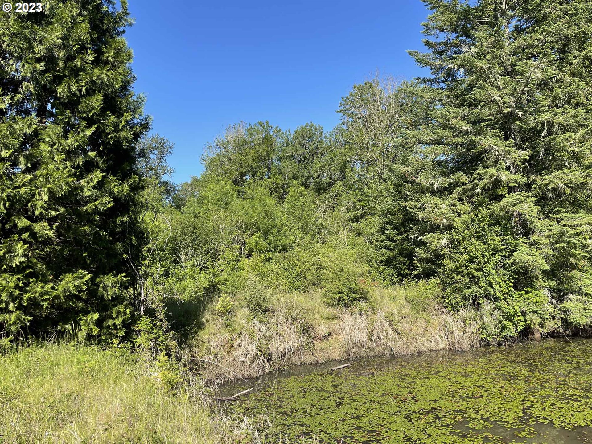 Richardson Gap Road, Unit TL708 Lebanon, OR 97355 - Photo 21 of 40 Gallery Image 21