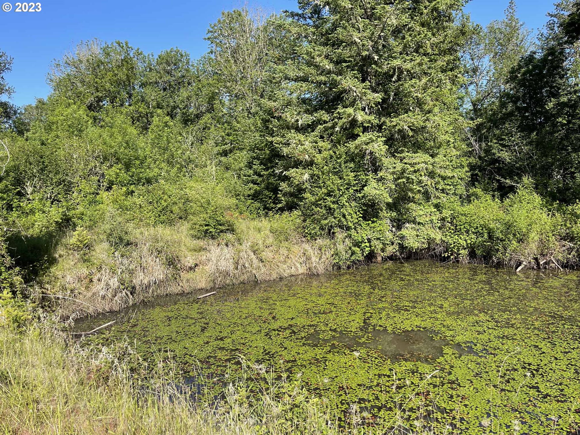 Richardson Gap Road, Unit TL708 Lebanon, OR 97355 - Photo 22 of 40 Gallery Image 22