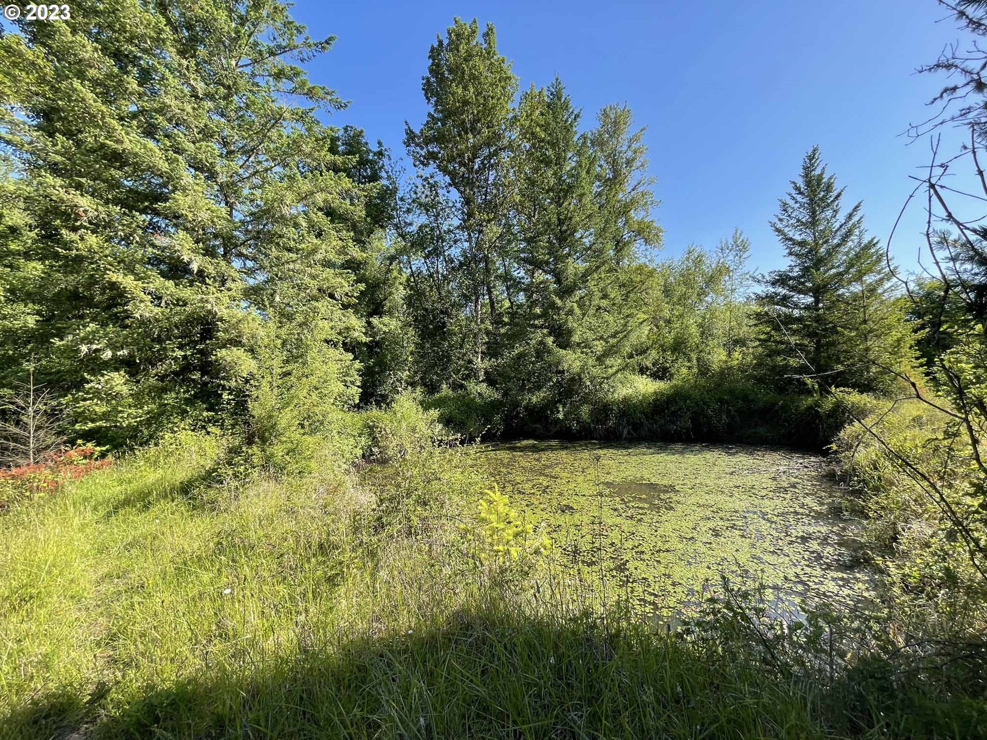 Richardson Gap Road, Unit TL708 Lebanon, OR 97355 - Photo 23 of 40 Gallery Image 23
