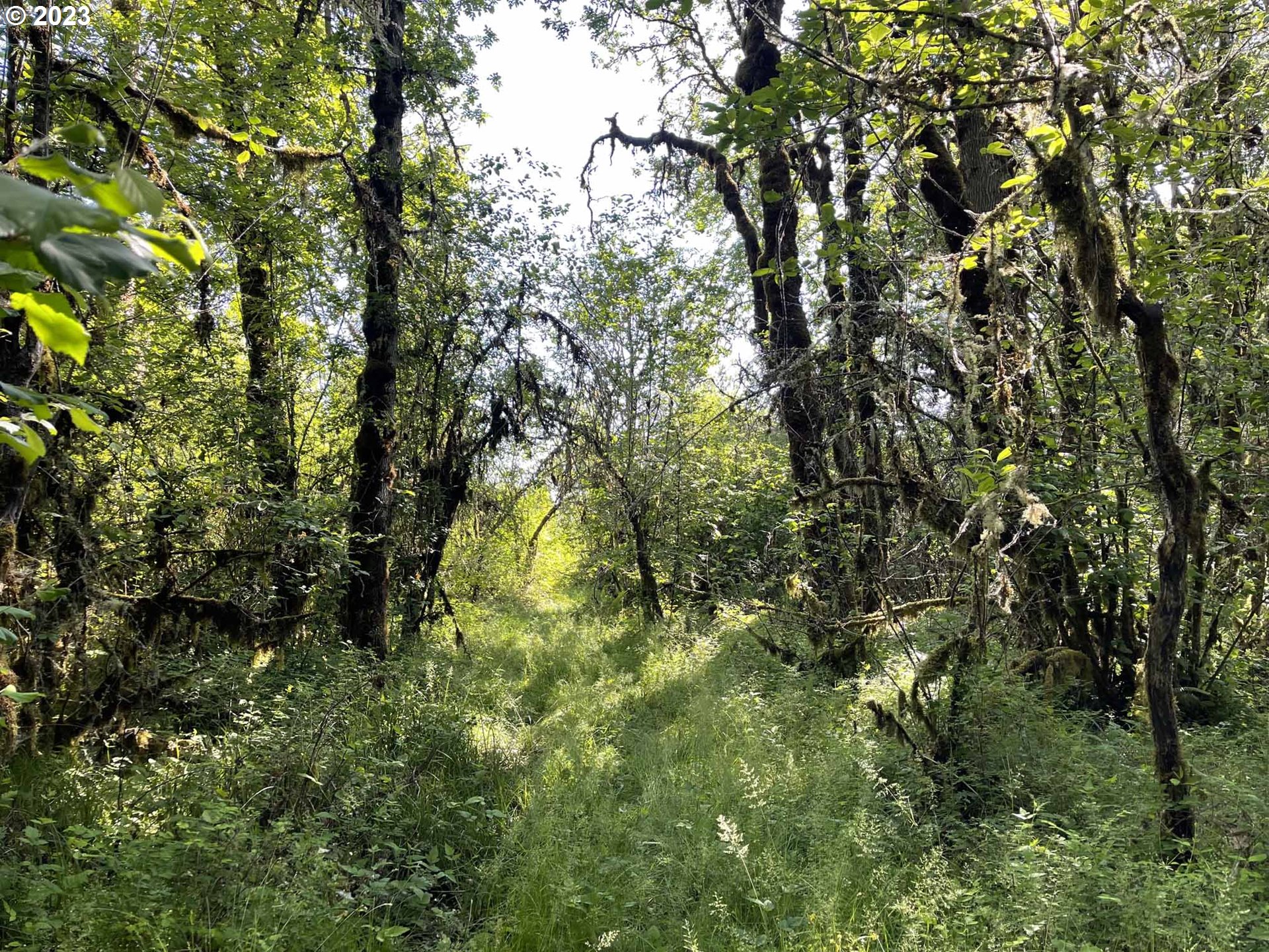 Richardson Gap Road, Unit TL708 Lebanon, OR 97355 - Photo 26 of 40 Gallery Image 26
