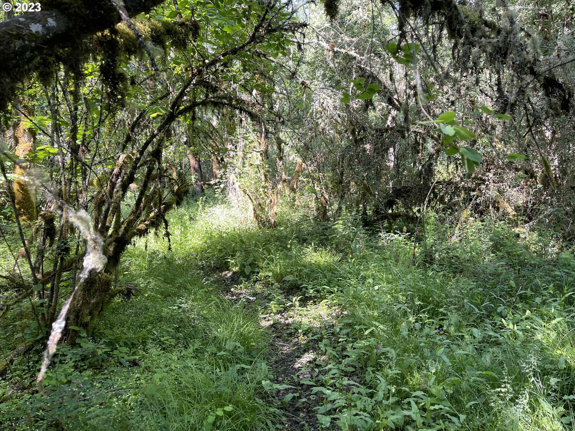 Richardson Gap Road, Unit TL708 Lebanon, OR 97355 - Photo 27 of 40 Gallery Image 27