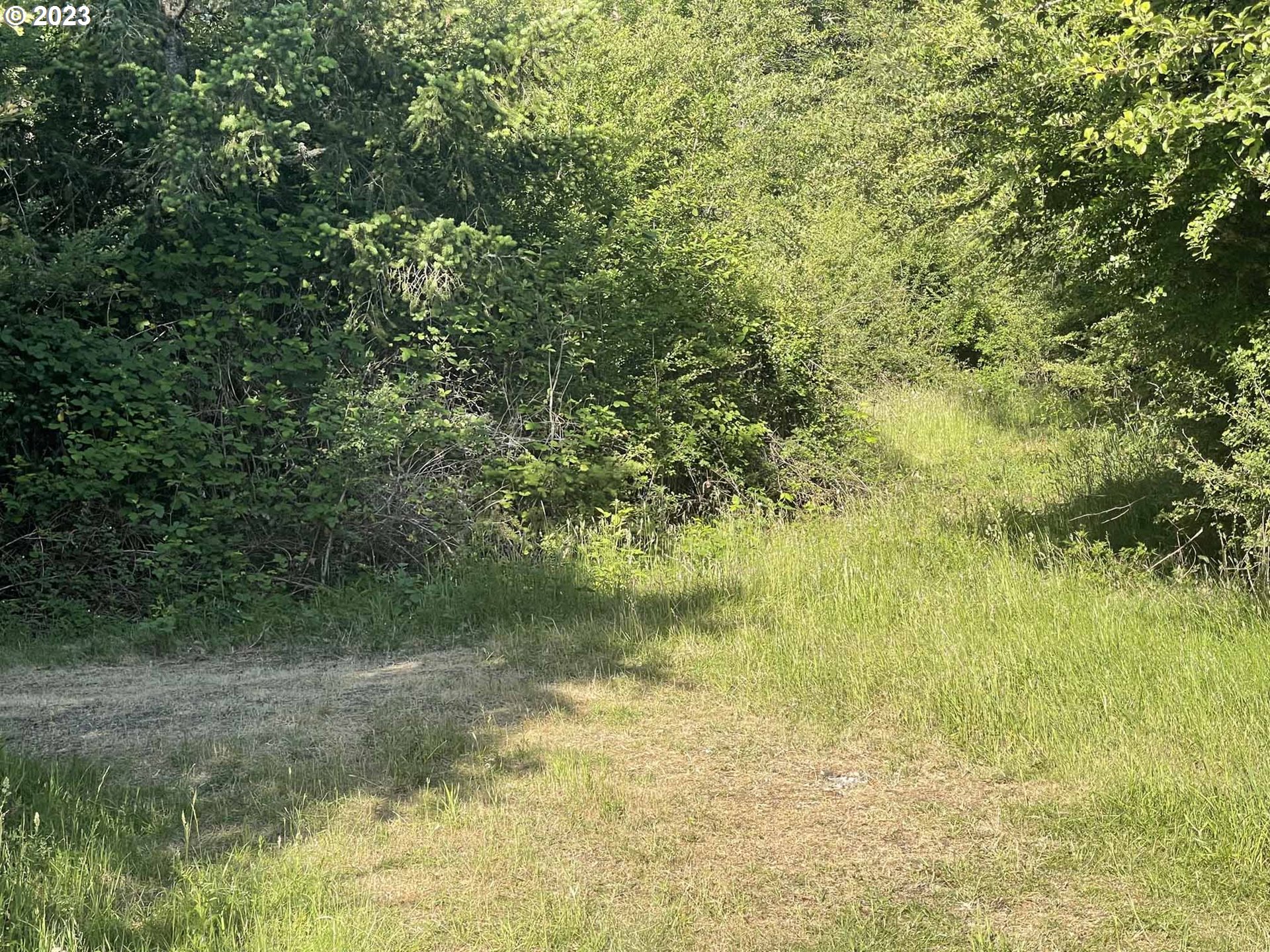Richardson Gap Road, Unit TL708 Lebanon, OR 97355 - Photo 3 of 40 Gallery Image 3