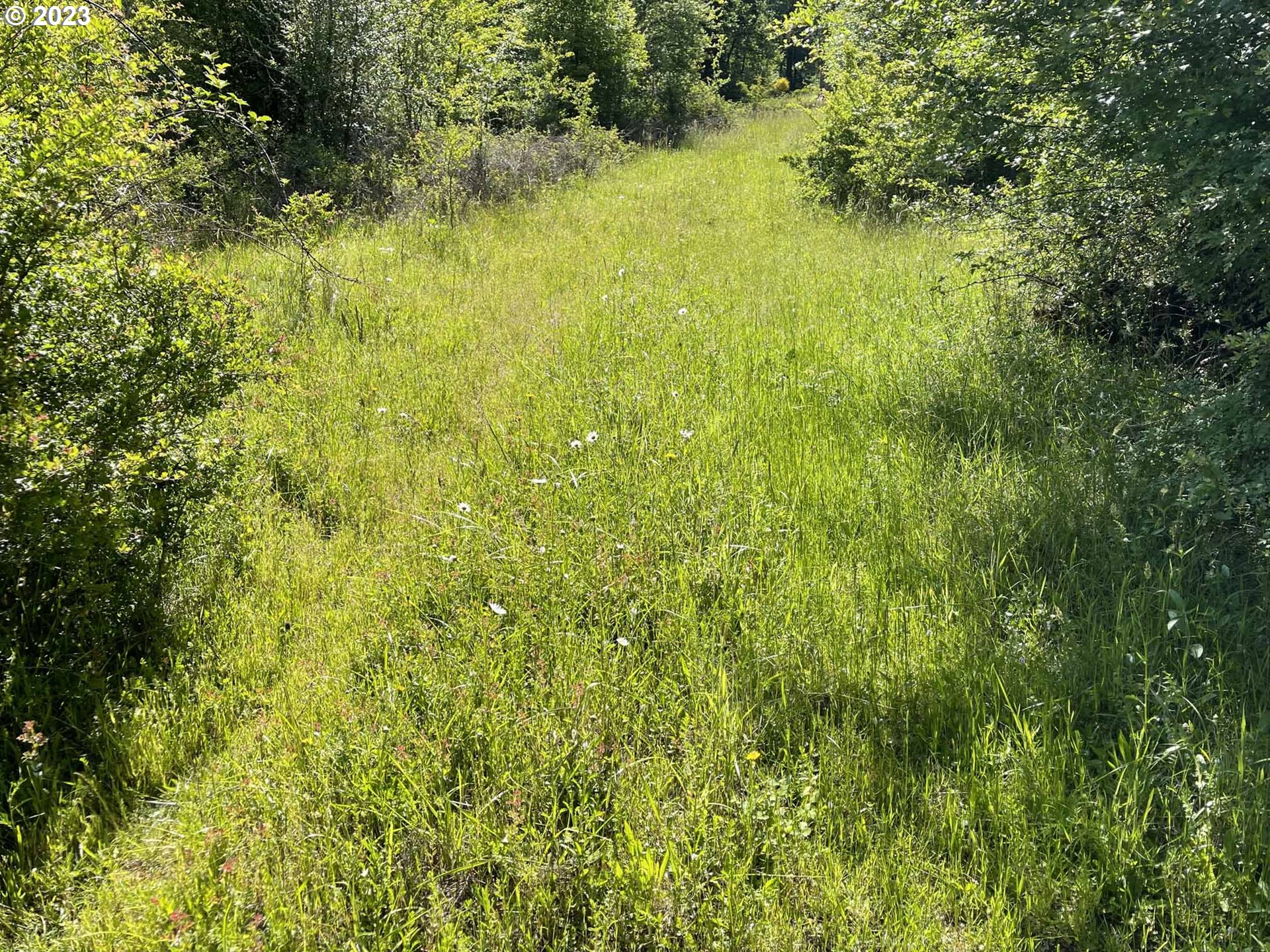Richardson Gap Road, Unit TL708 Lebanon, OR 97355 - Photo 32 of 40 Gallery Image 32