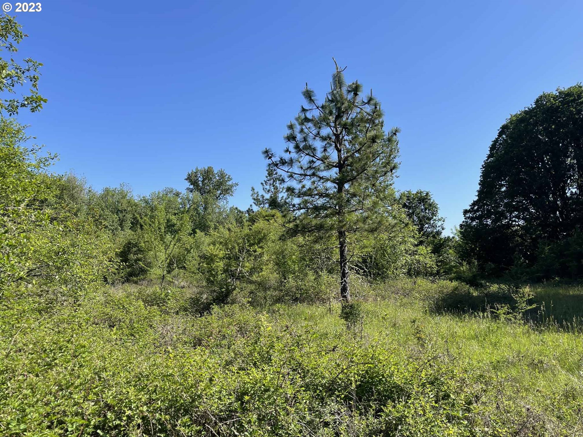 Richardson Gap Road, Unit TL708 Lebanon, OR 97355 - Photo 33 of 40 Gallery Image 33