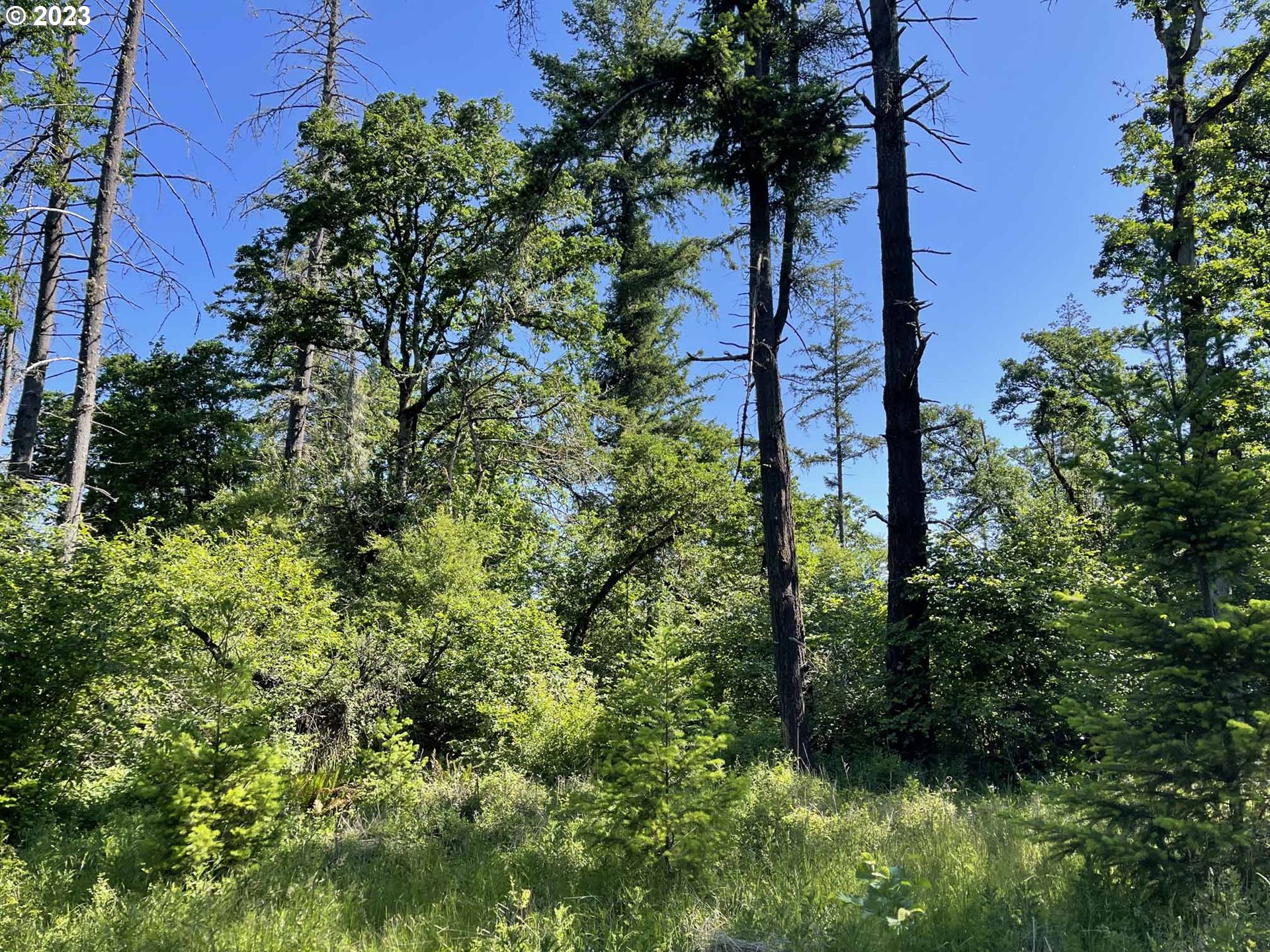 Richardson Gap Road, Unit TL708 Lebanon, OR 97355 - Photo 36 of 40 Gallery Image 36