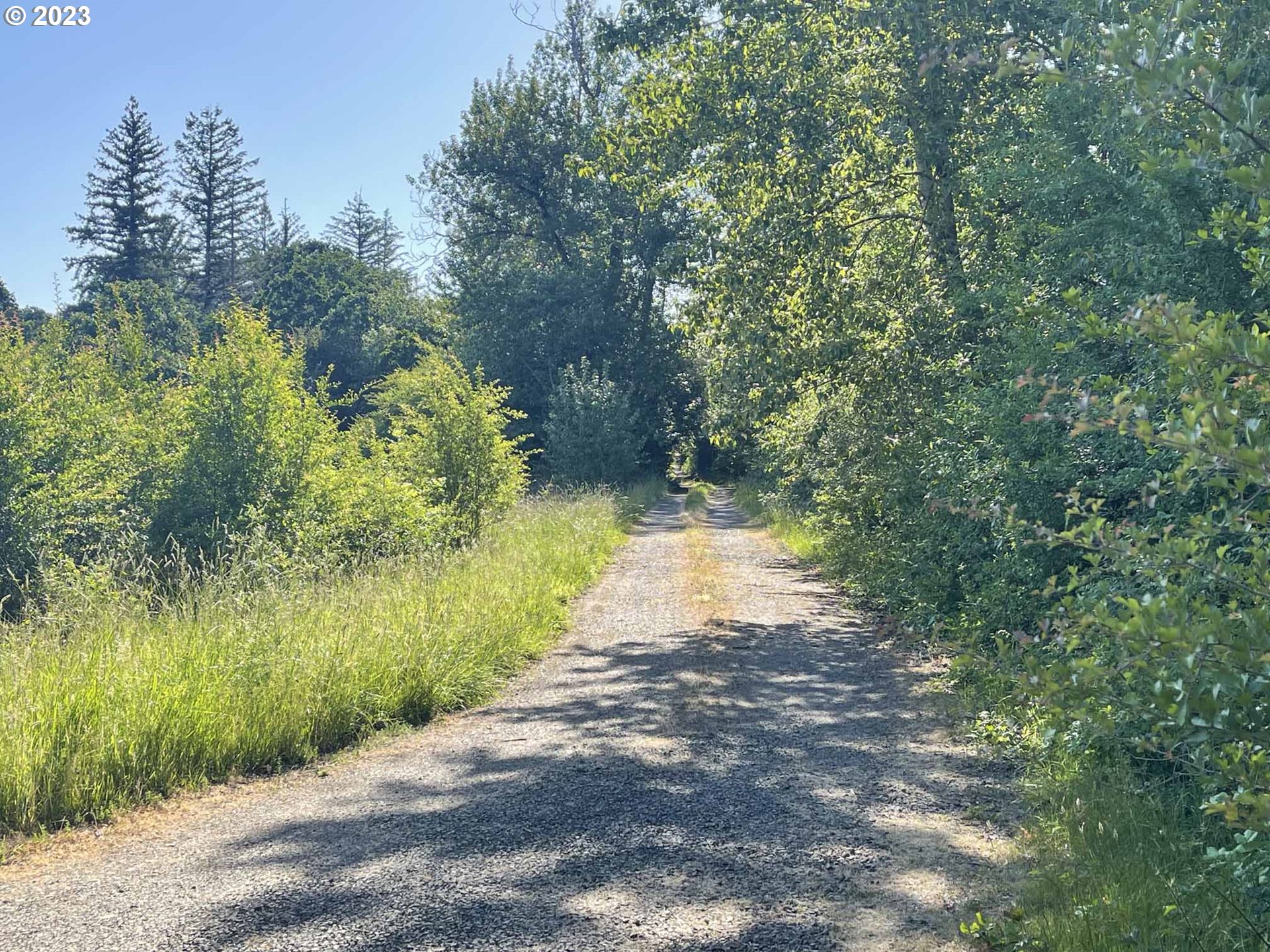 Richardson Gap Road, Unit TL708 Lebanon, OR 97355 - Photo 6 of 40 Gallery Image 6
