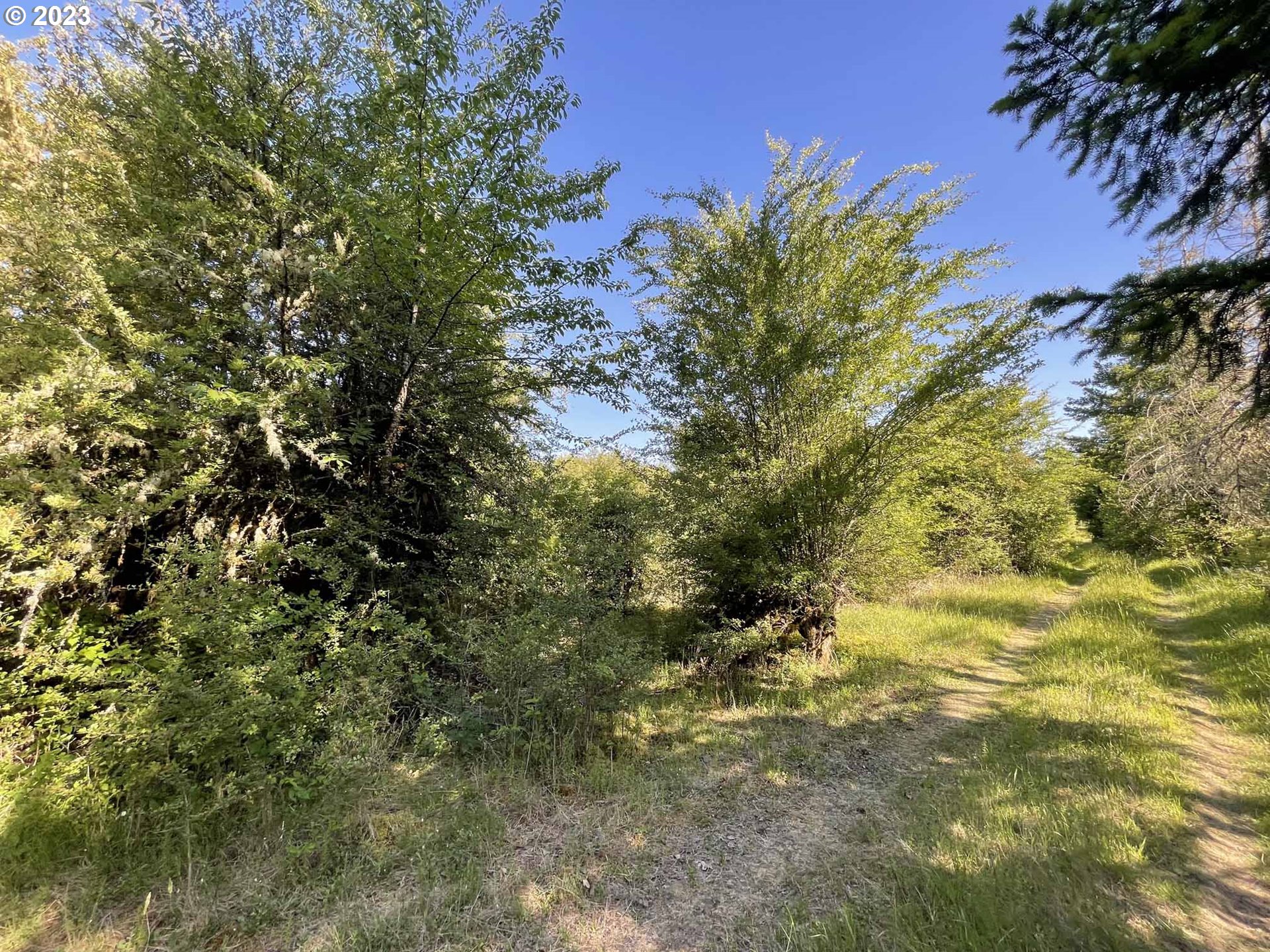Richardson Gap Road, Unit TL708 Lebanon, OR 97355 - Photo 10 of 40 Gallery Image 10