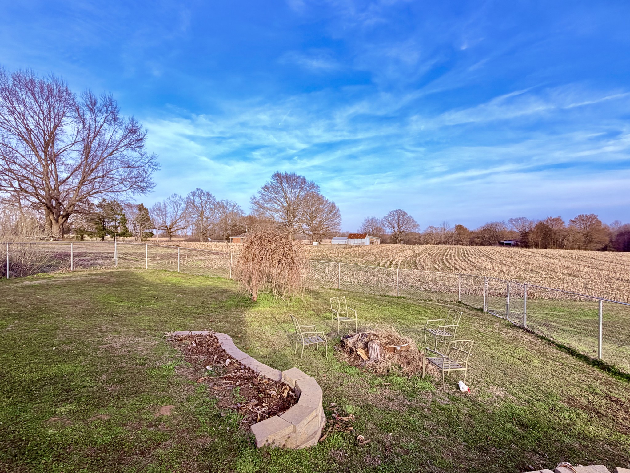 65 Pleasant Hill Road Springville, TN 38256 - Photo 6 of 30