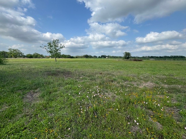 3831 FM 1299 Road Wharton, TX 77488 - Photo 12 of 16