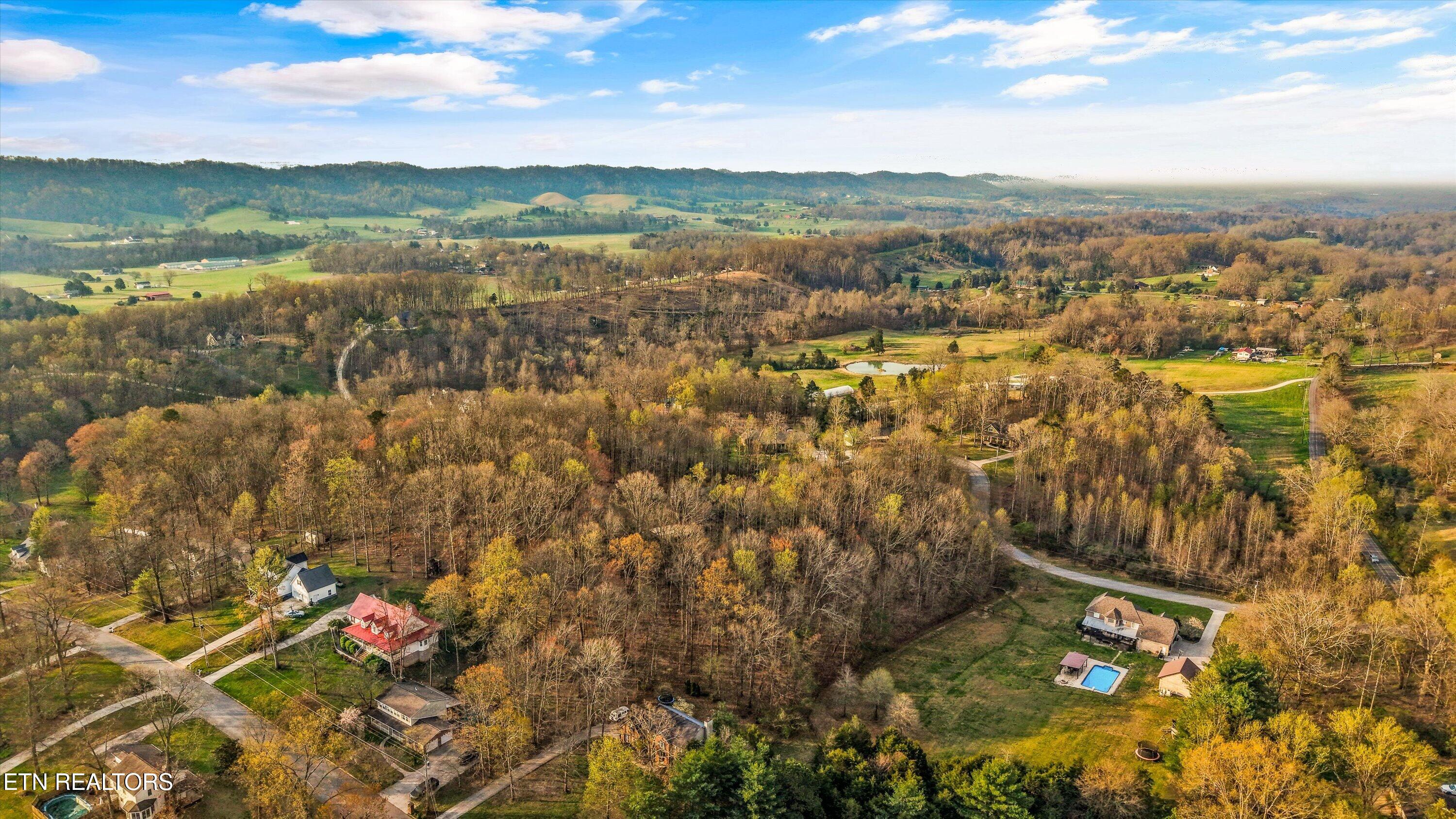 111 Stone Ridge Drive Andersonville, TN 37705 - Photo 36 of 54 58-111 Stone Ridge Dr 49