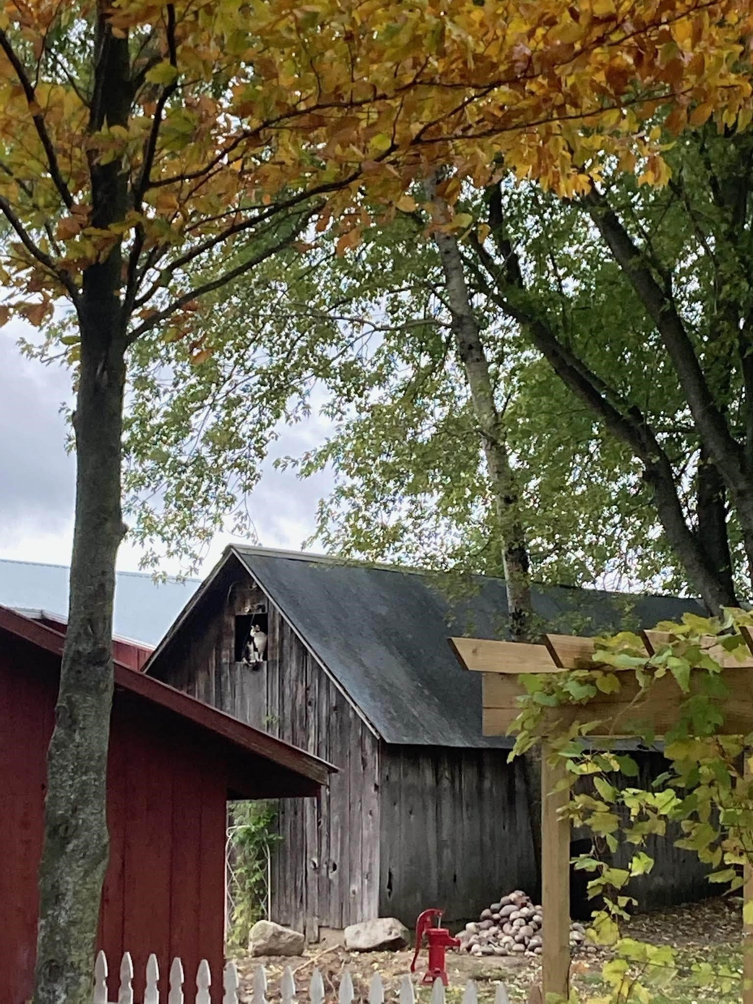 7550 Townline Road Kingsley, MI 49649 - Photo 66 of 89 1940519-9019d4b4-35ce-49a0-aefb-7be7c0fd08e4.JPG