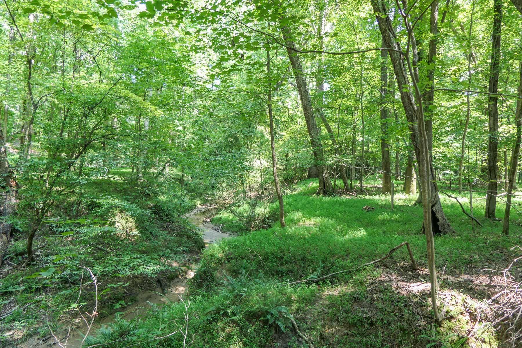 0 Asbury Road Pacolet, SC 29372 - Photo 7 of 11 Gallery Image 7