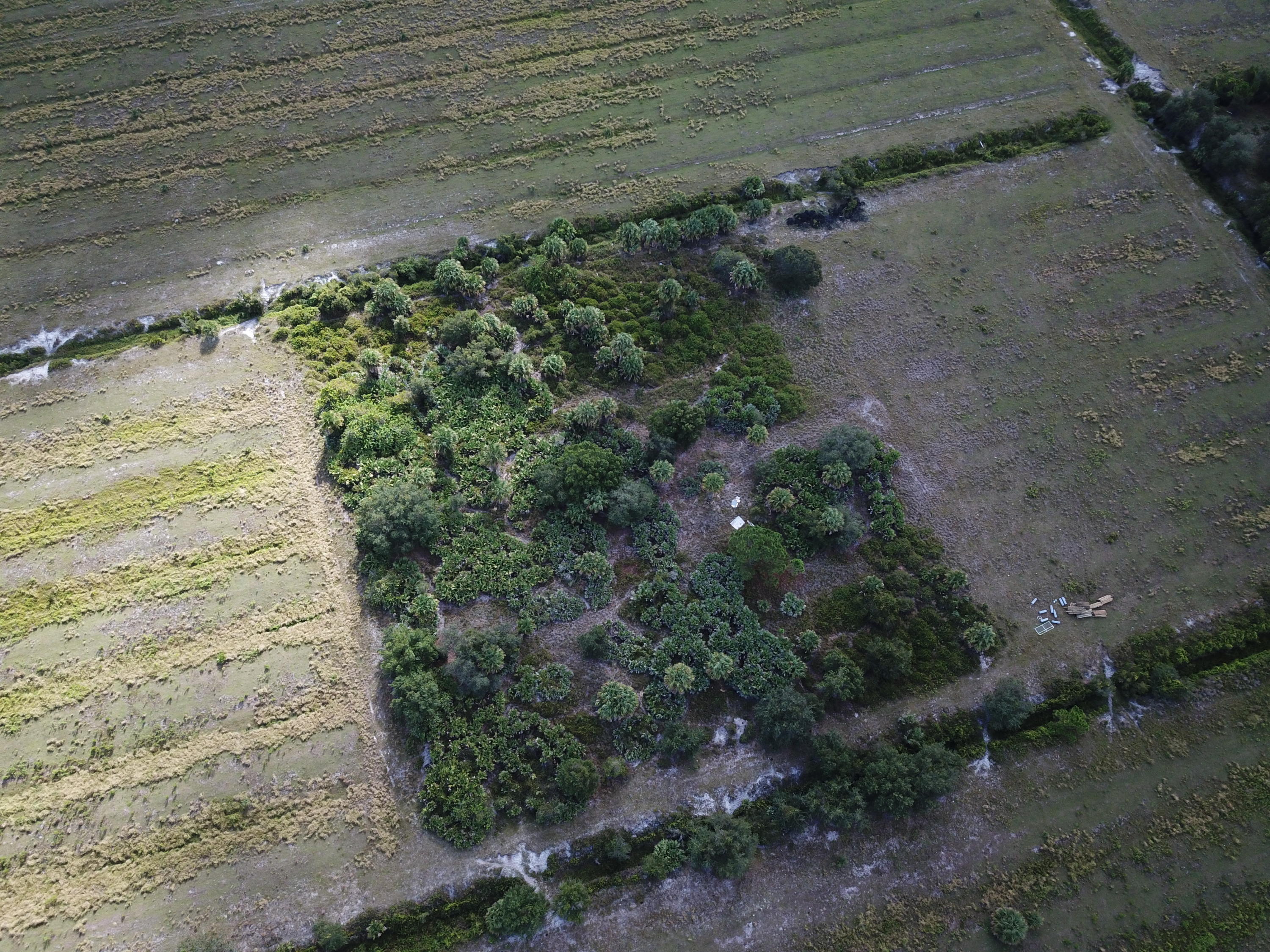 Bbb Southwest Arrowroot Road Indiantown, FL 34956 - Photo 3 of 14 DJI_0142