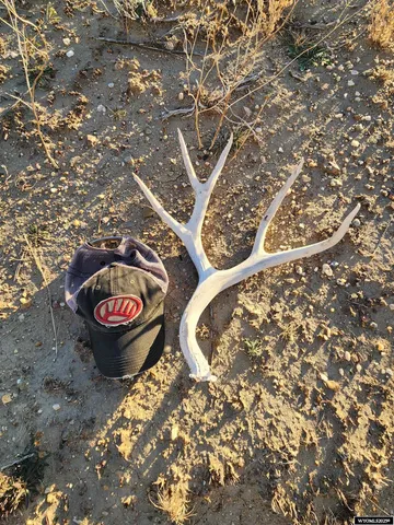 $160,000 | 65 Riva Ridge Drive, Medicine Bow, WY 82329