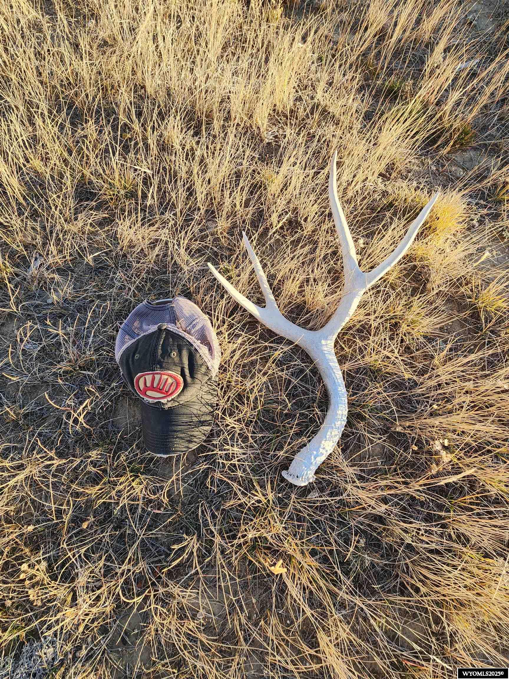 65 Riva Ridge Drive Medicine Bow, WY 82329 - Photo 18 of 18