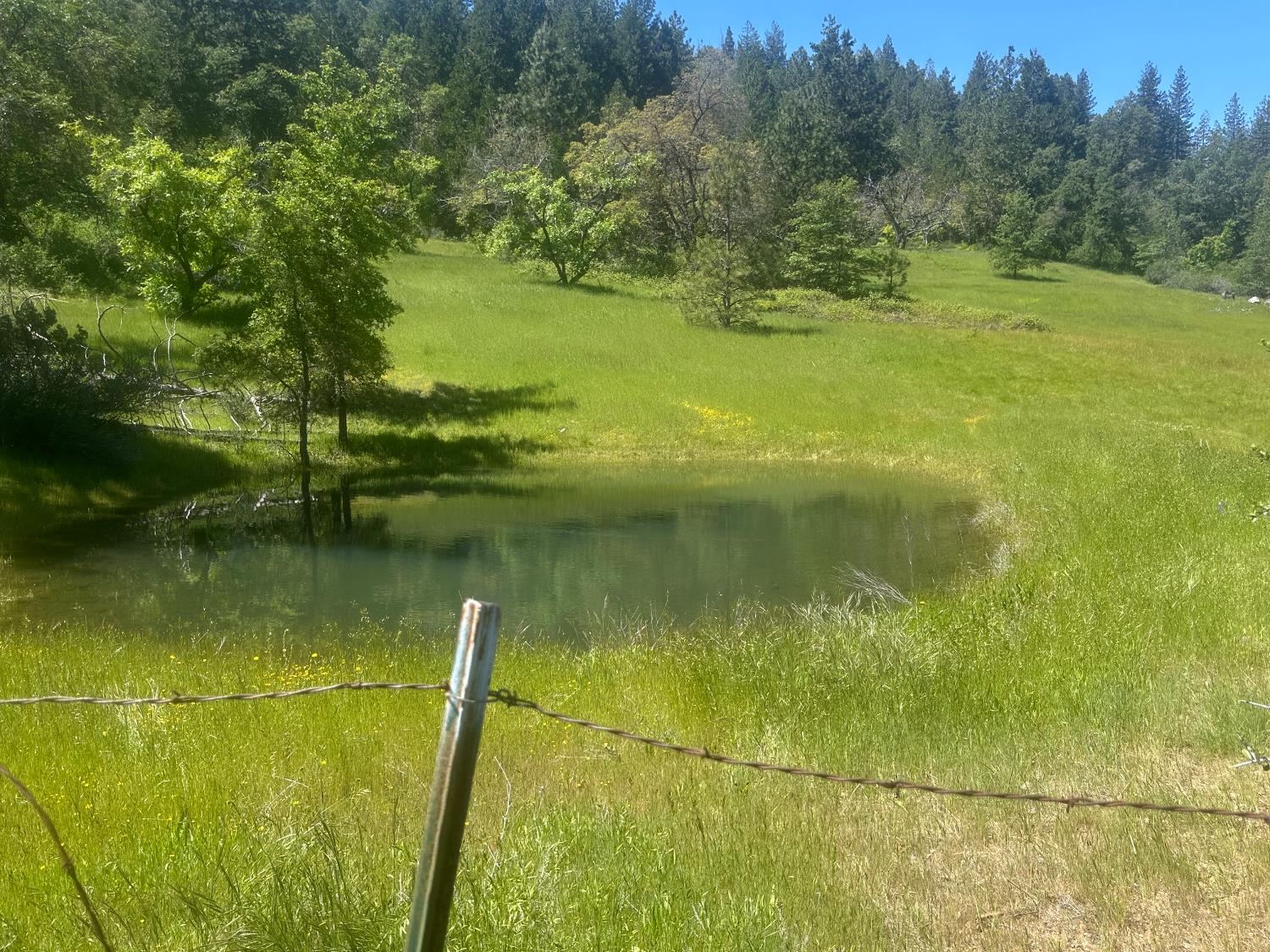 0 Schaefer Ranch Road Pioneer, CA 95666 - Photo 13 of 72