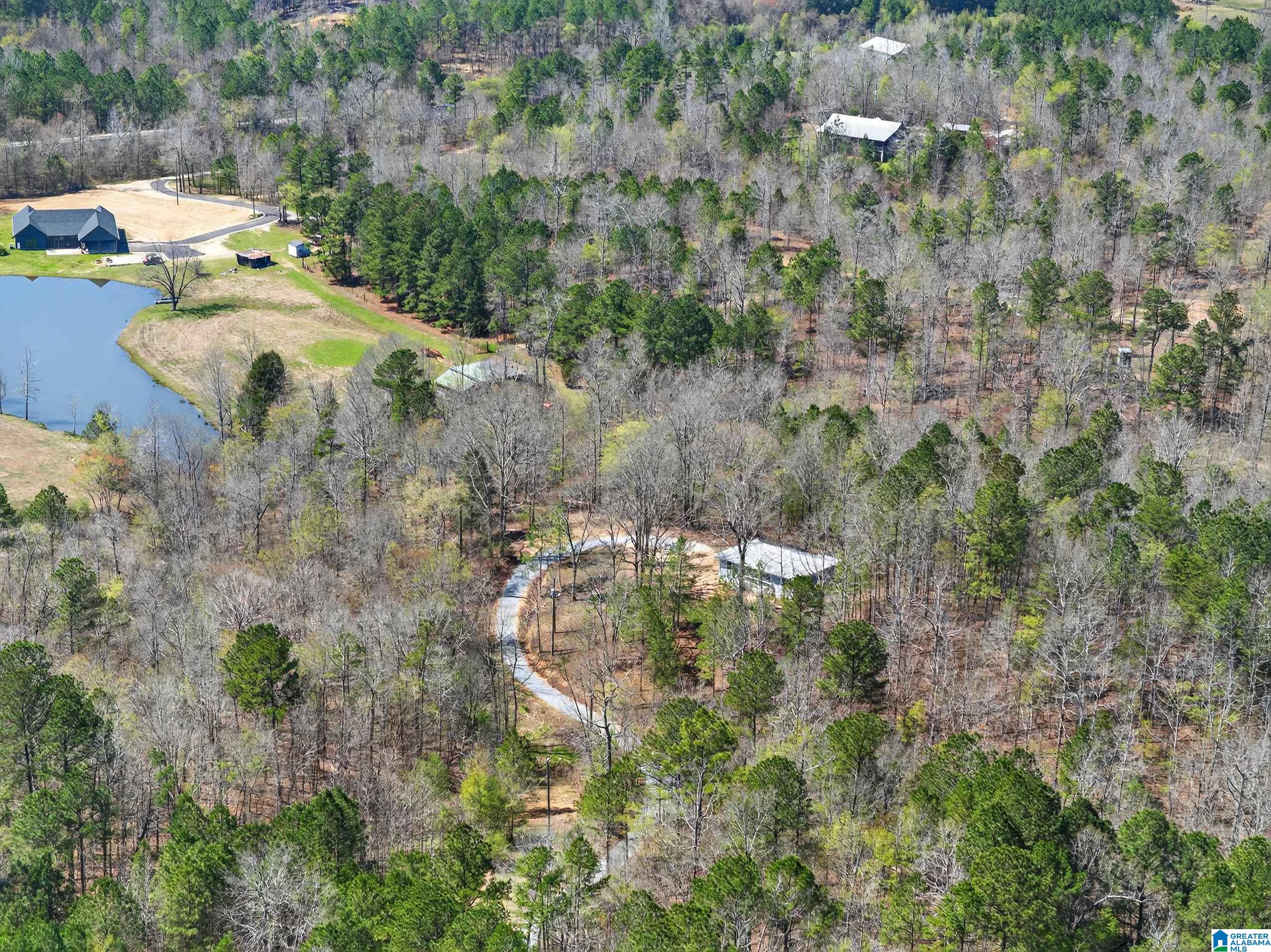 355 Pine Ridge Road Wellington, AL 36279 - Photo 36 of 36