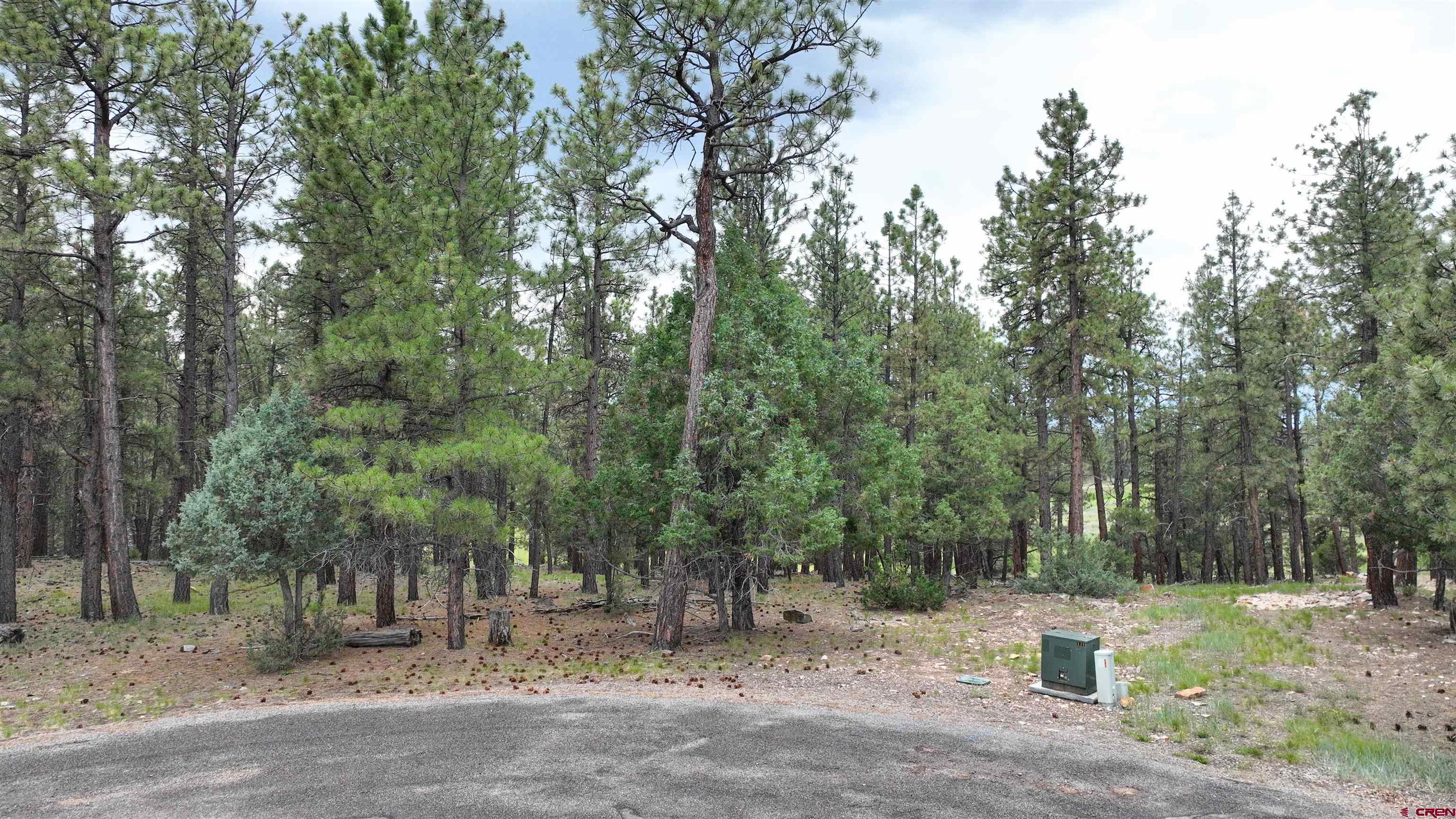68 Marmot Court Ridgway, CO 81432 - Photo 14 of 22 a backyard of a house with lots of trees