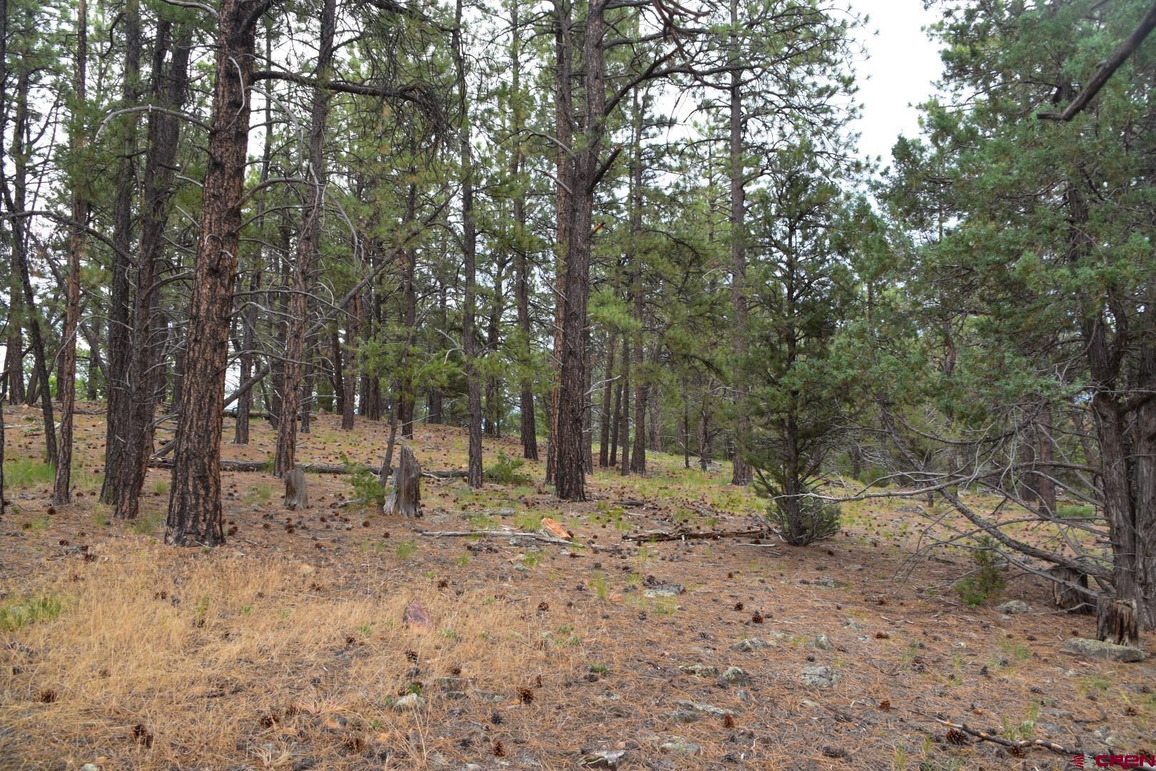 68 Marmot Court Ridgway, CO 81432 - Photo 22 of 22 a backyard of a house with lots of trees