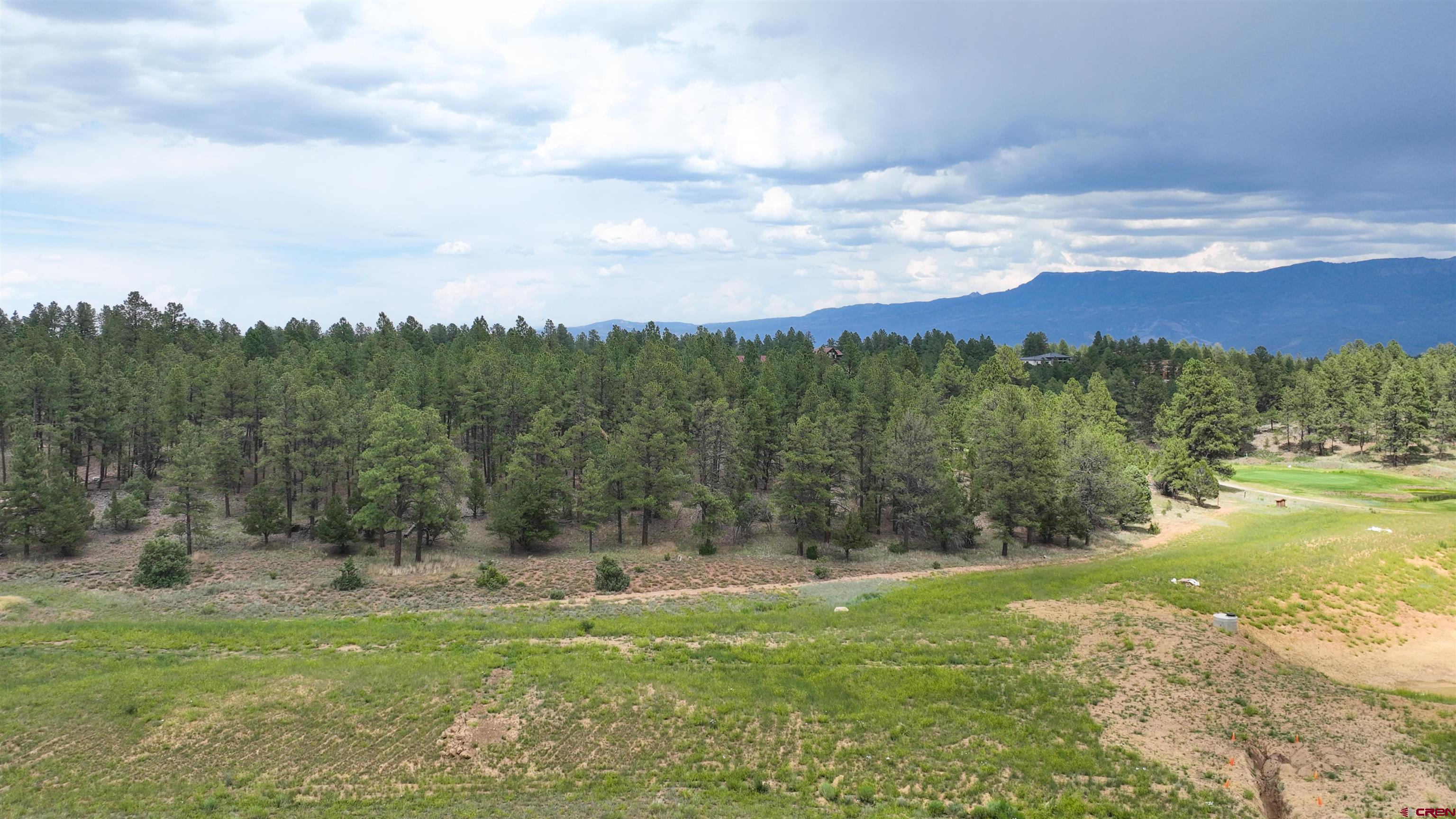 68 Marmot Court Ridgway, CO 81432 - Photo 6 of 22 a view of a town with mountains in the background