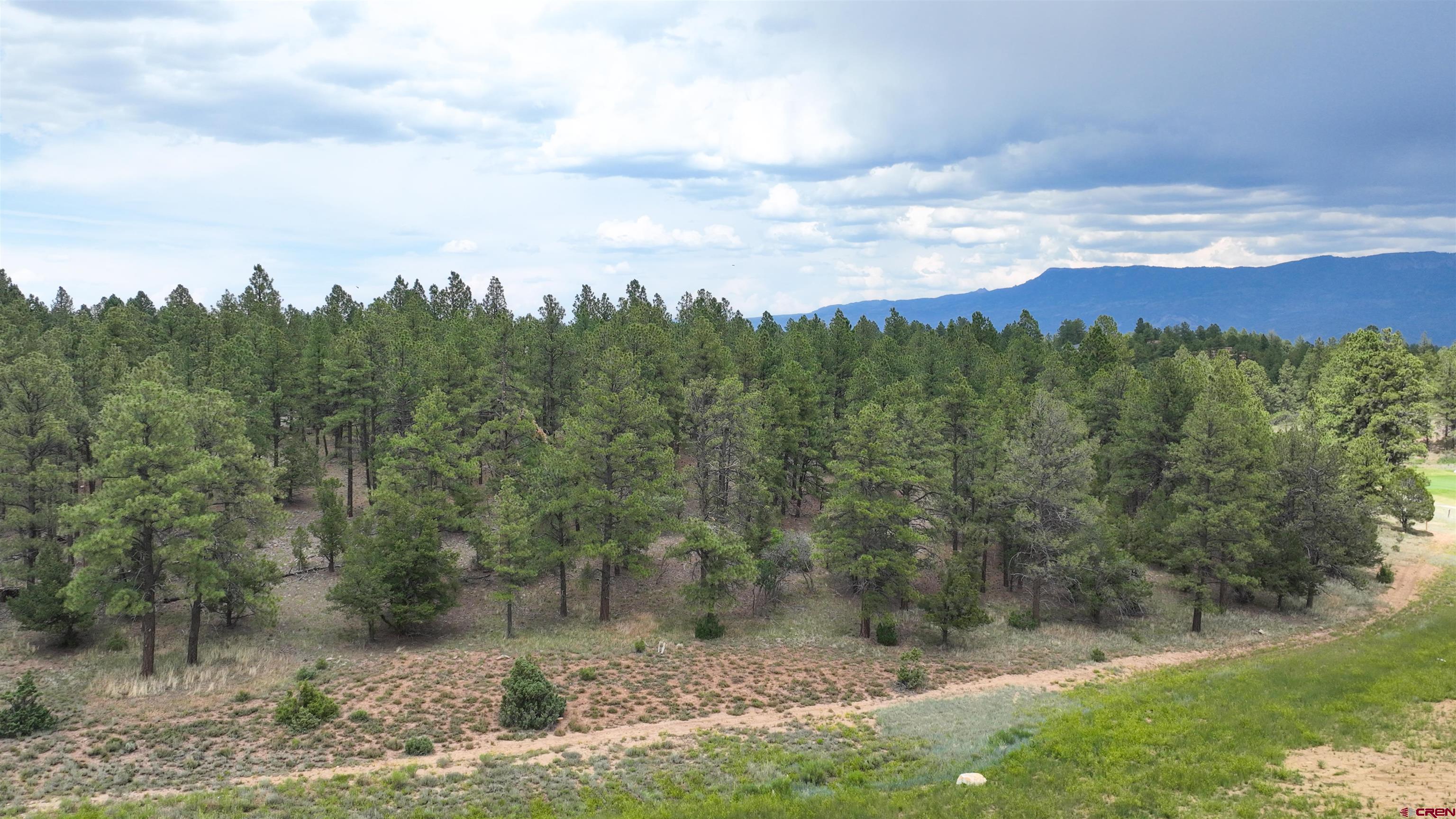 68 Marmot Court Ridgway, CO 81432 - Photo 7 of 22 a view of a yard with a tree