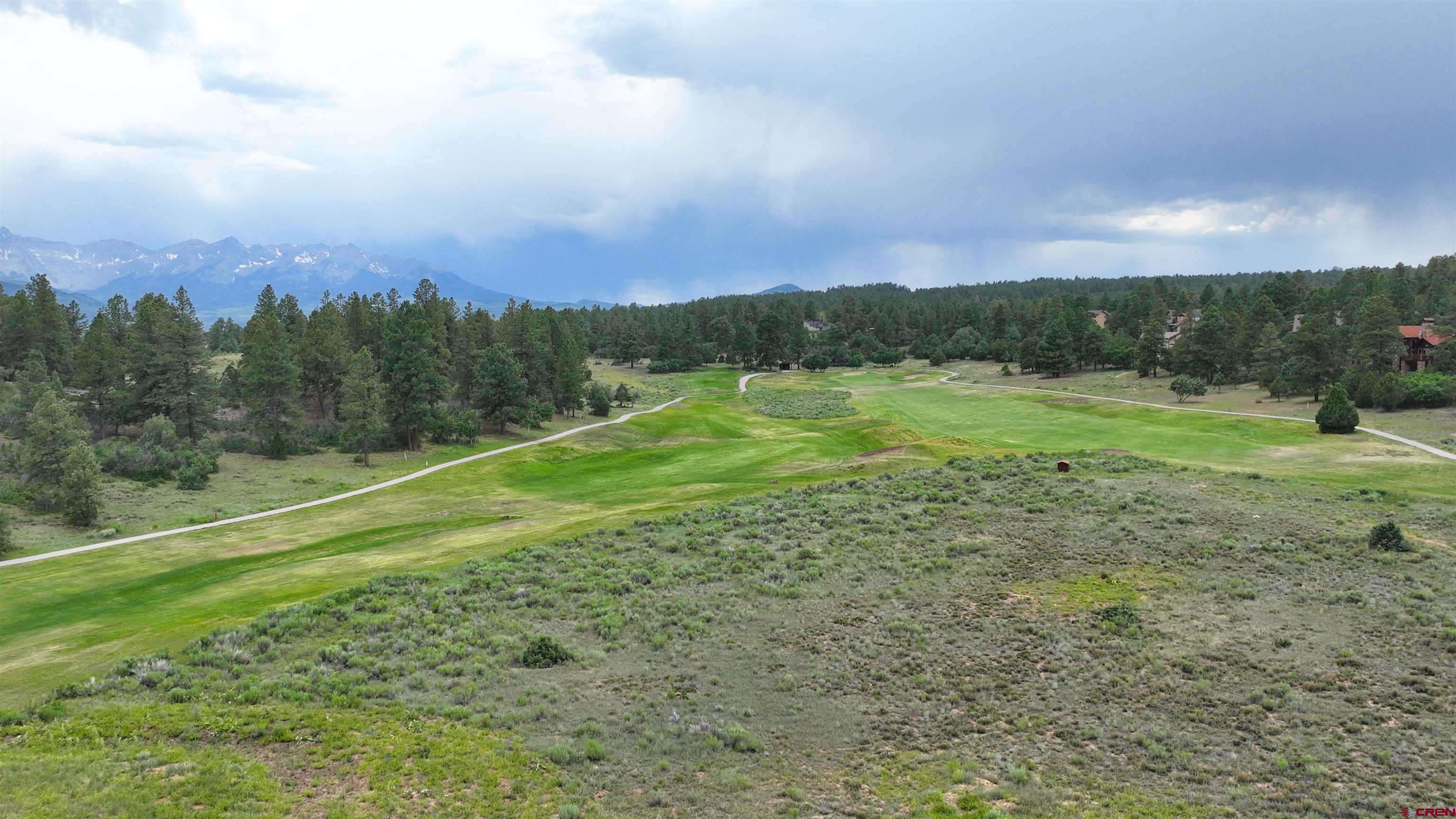68 Marmot Court Ridgway, CO 81432 - Photo 9 of 22 a view of a field with an trees