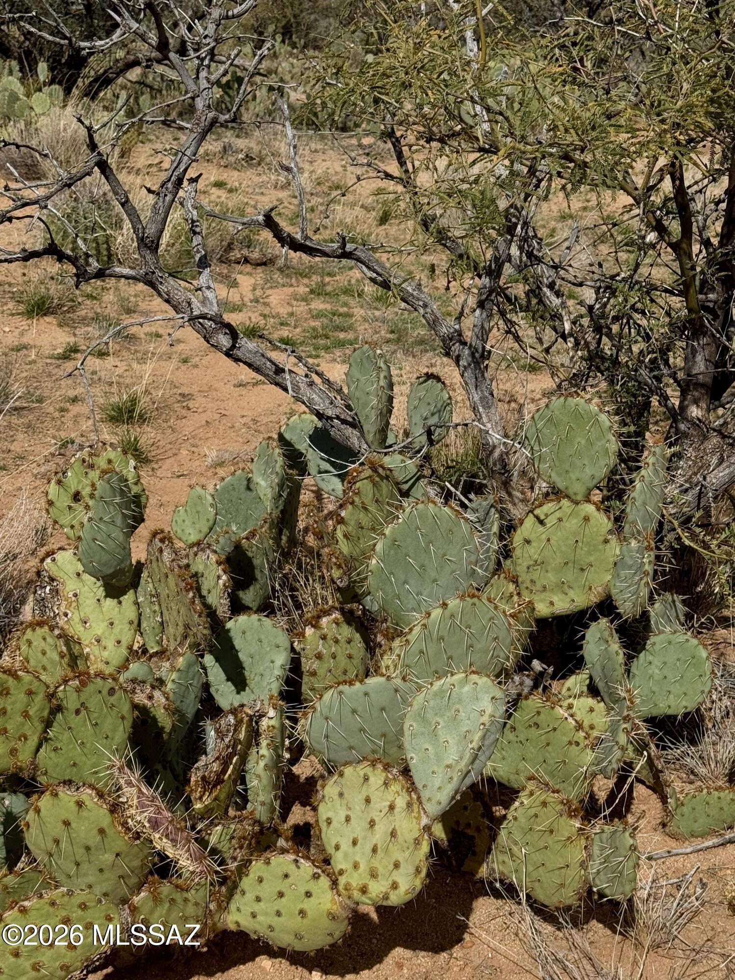 0 South Sierrita Mountain Road Tucson, AZ 85736 - Photo 6 of 24