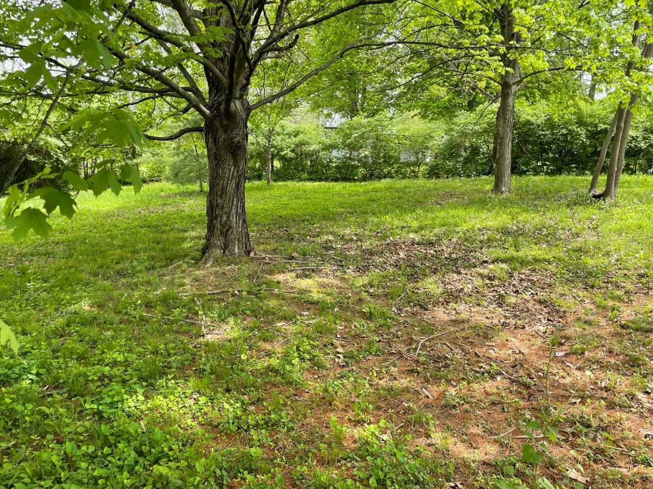10352 North Rooker Road Mooresville, IN 46158 - Photo 6 of 8 Gallery Image 6