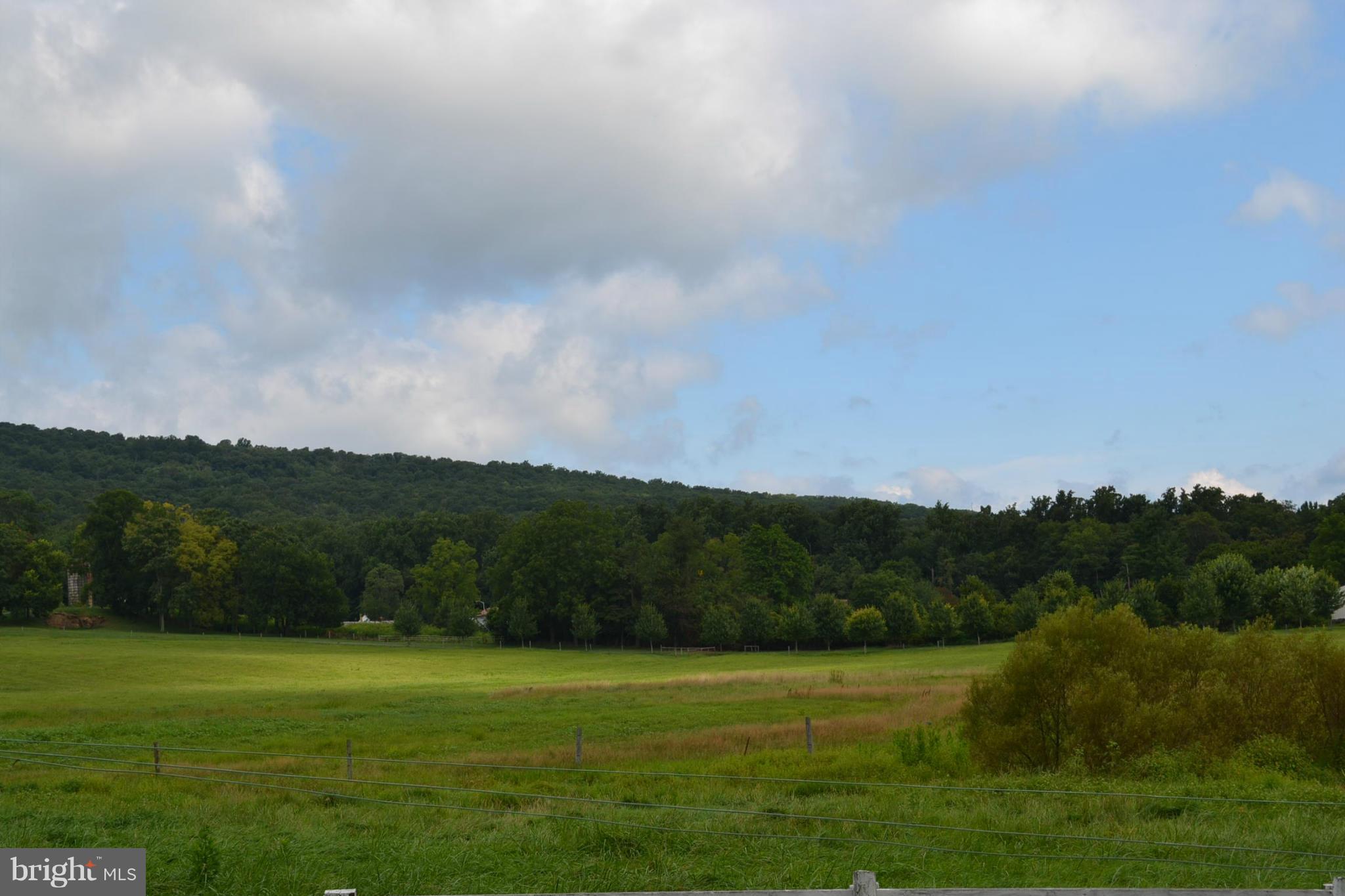 12108 Auburn Road Thurmont, MD 21788 - Photo 28 of 33 a view of a grassy field with trees