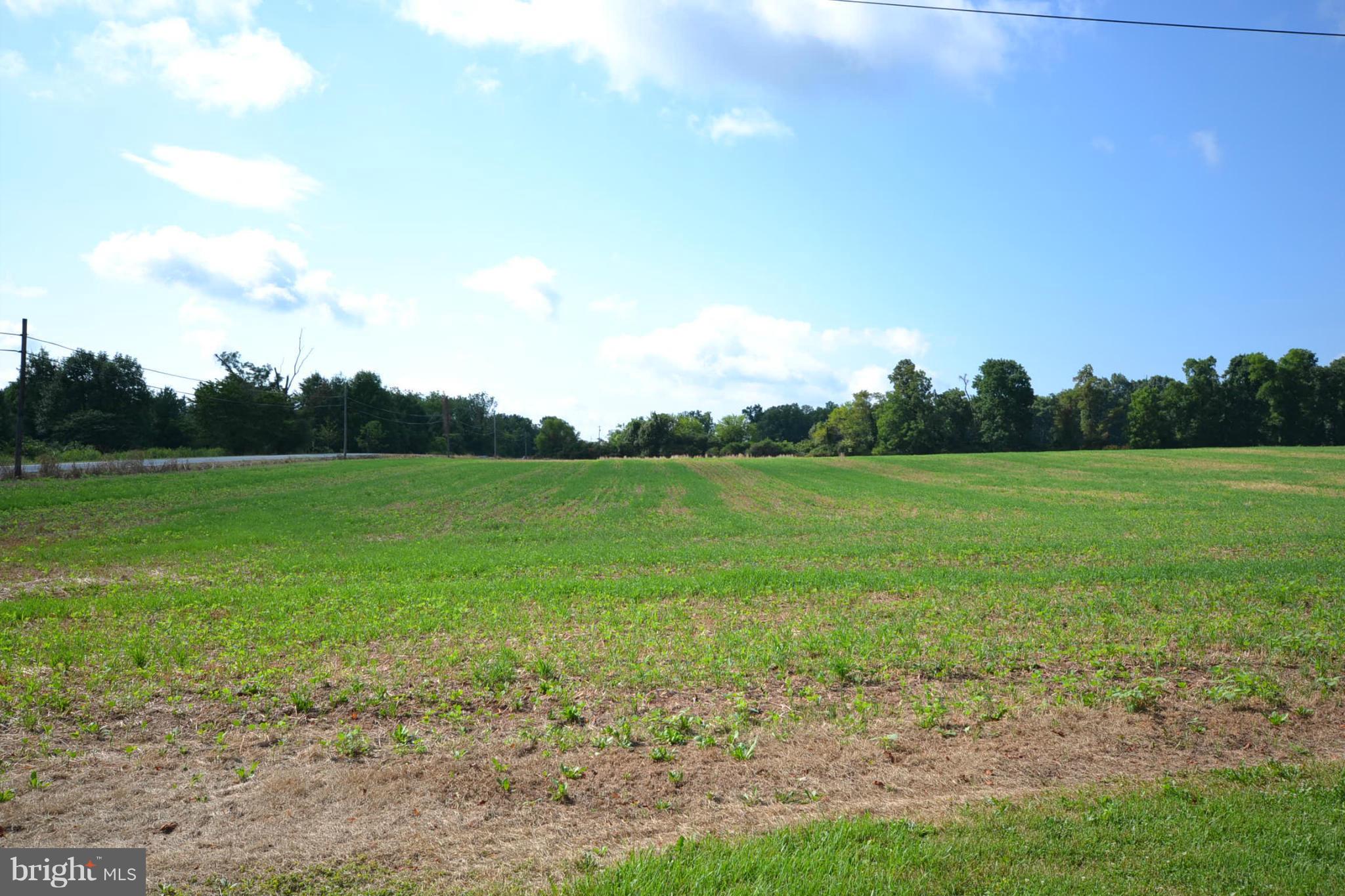 12108 Auburn Road Thurmont, MD 21788 - Photo 29 of 33 a view of a grassy field with trees in the background