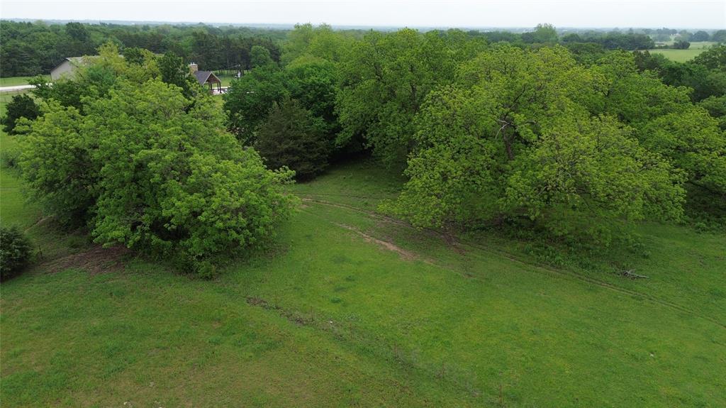 3138 Scarbrough Road Sadler, TX 76264 - Photo 39 of 40 a view of a green yard