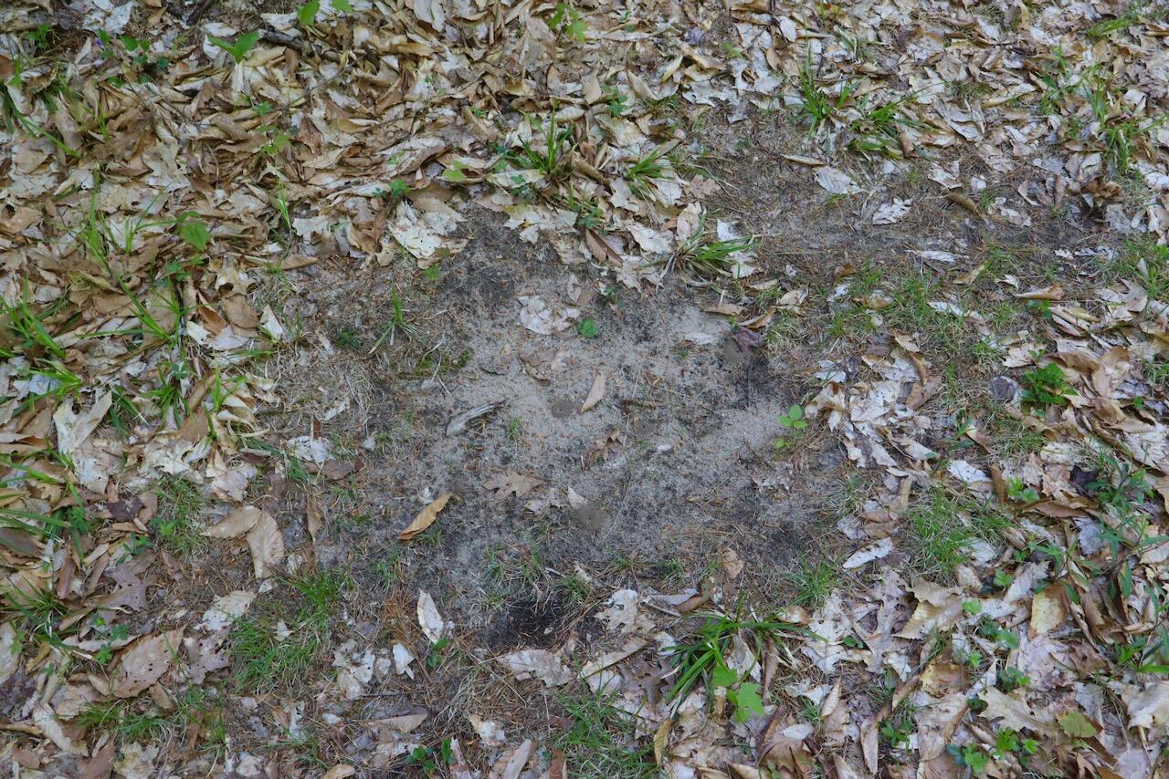 11547 1 Mile Road Leroy, MI 49655 - Photo 63 of 73 56_