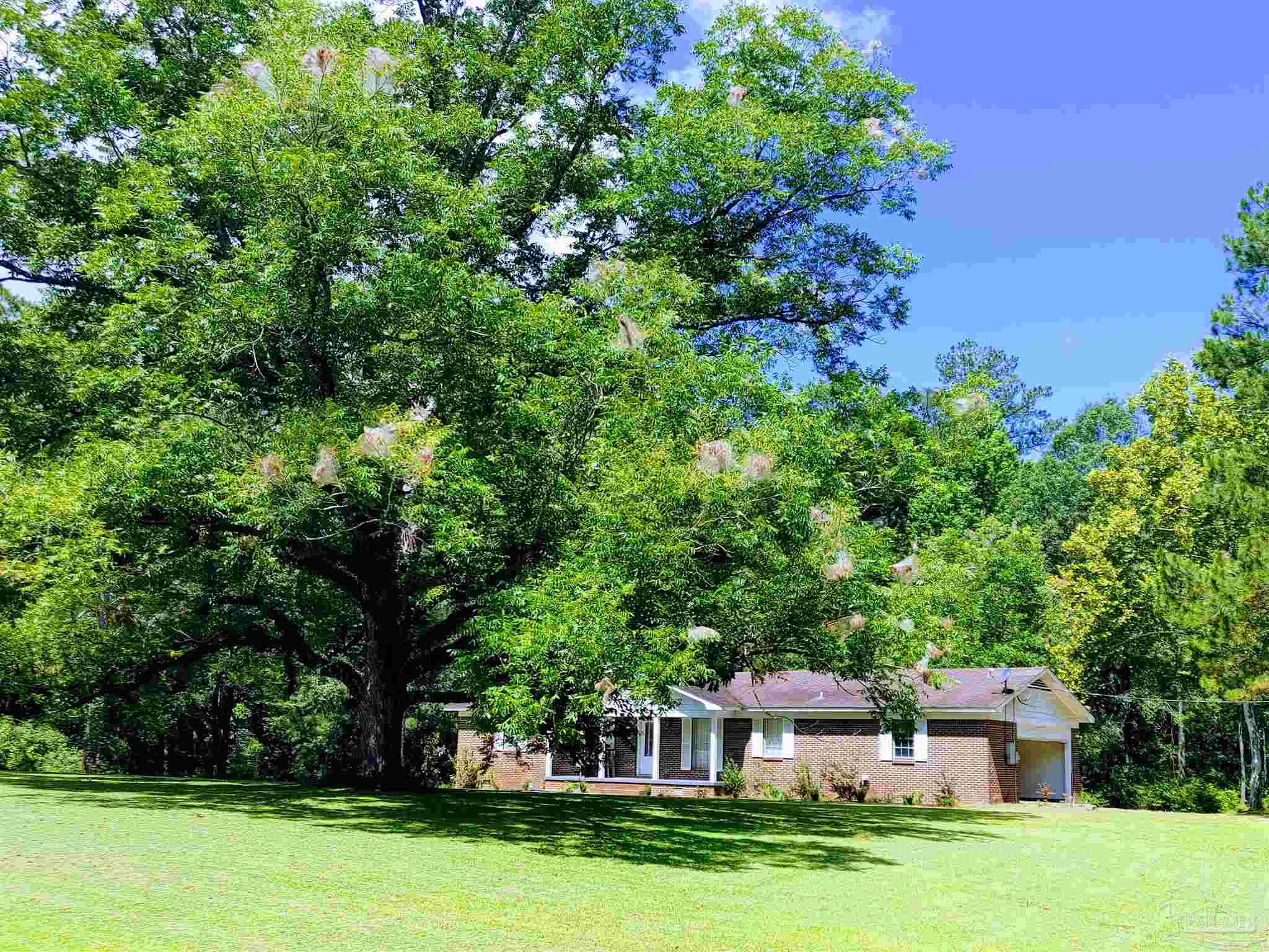 2934 Barlow Road Millry, AL 36558 - Photo 32 of 49
