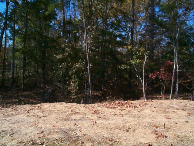 Lot 54 Three Runs Ridge Spring, SC 29129 - Photo 1 of 1
